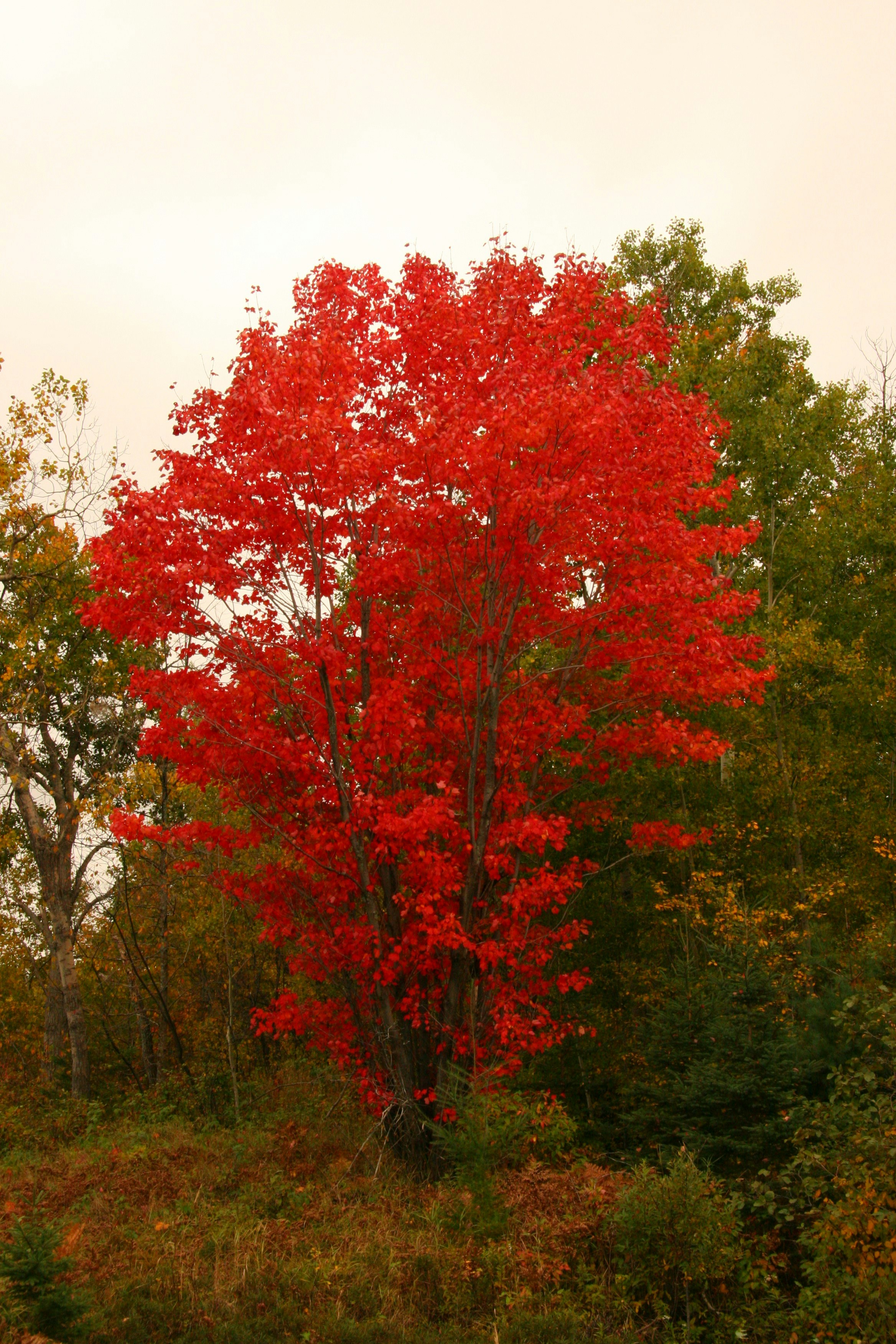 Photo by ernest_boyd