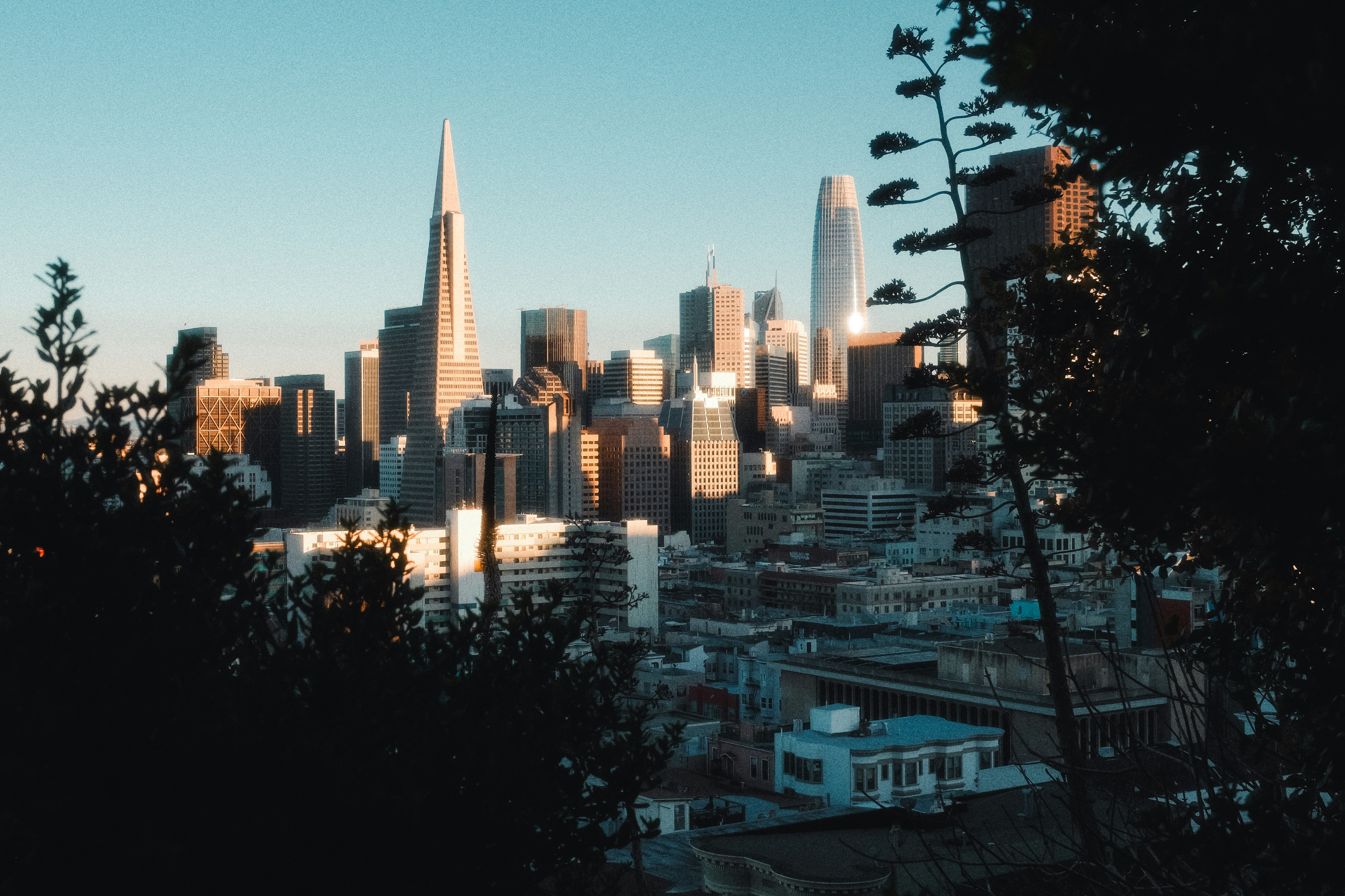 Photo by kalaniparker