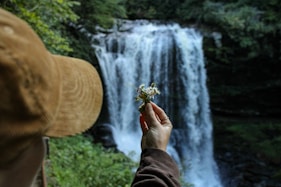 A person holding a flower in front of a waterfall