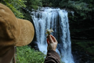 A person holding a flower in front of a waterfall