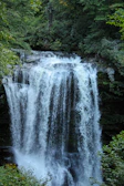 A large waterfall in the middle of a forest