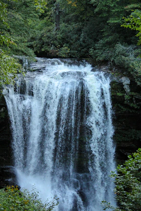 A large waterfall in the middle of a forest