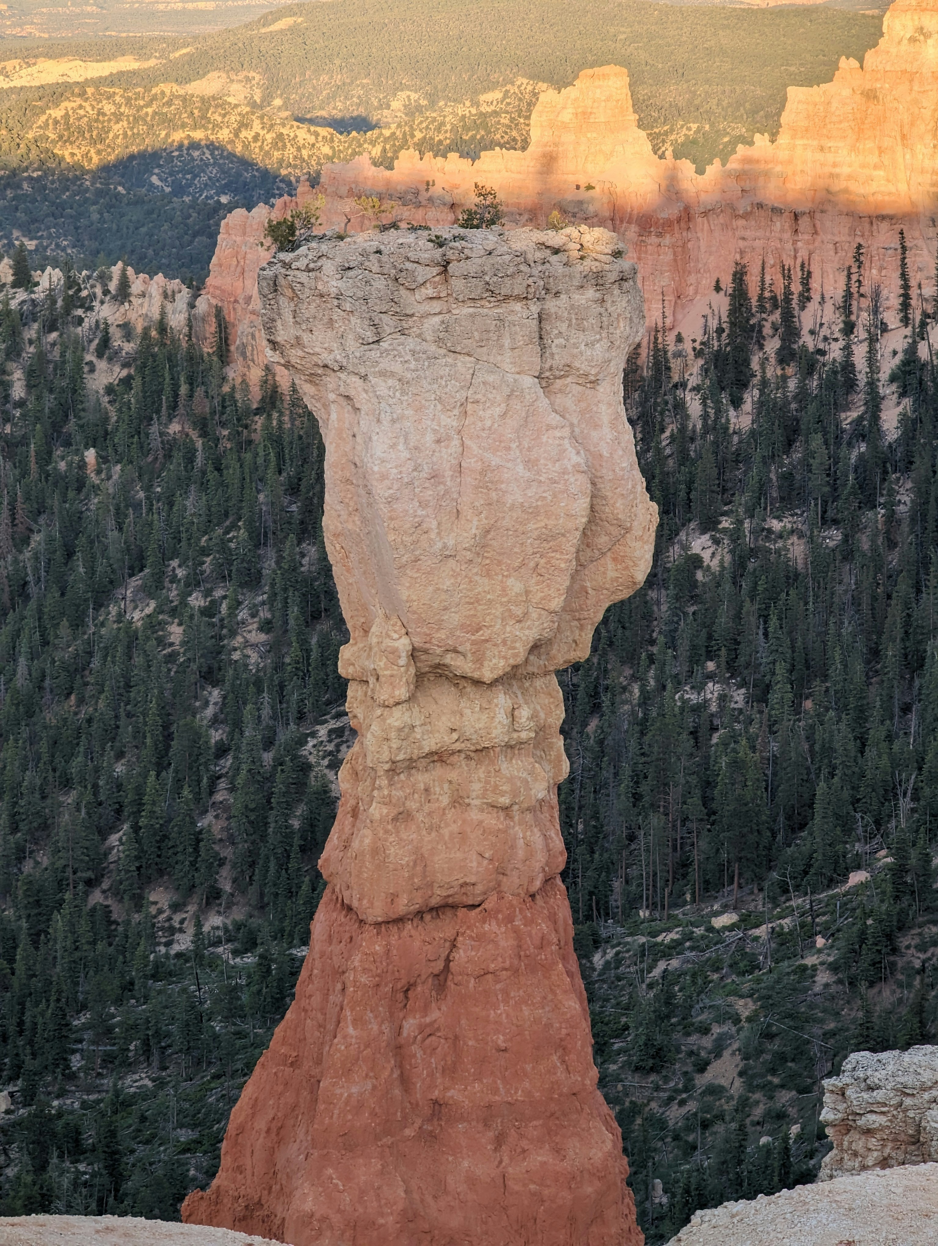 Photo by jonathanbglass