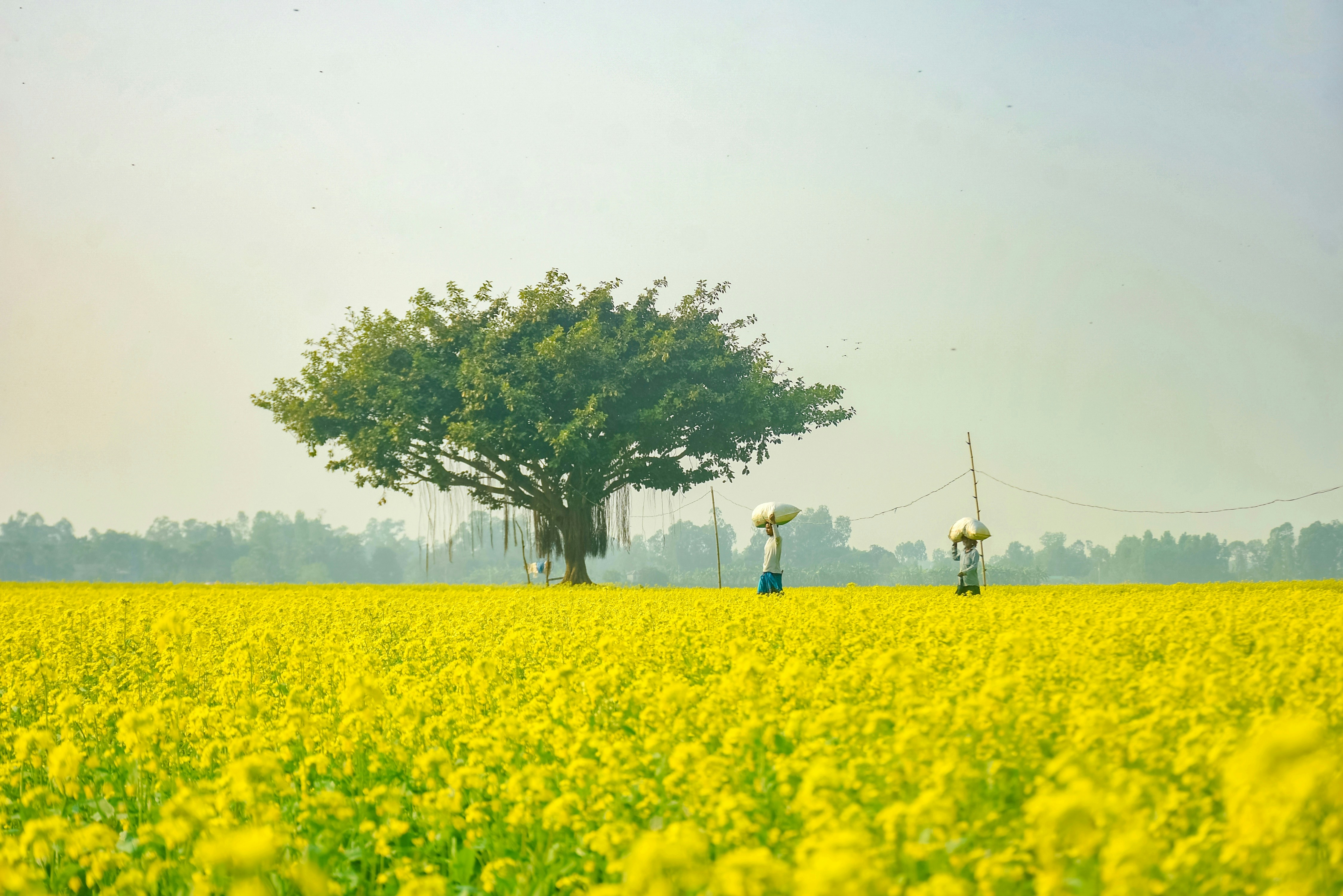 Photo by mahinkhan333