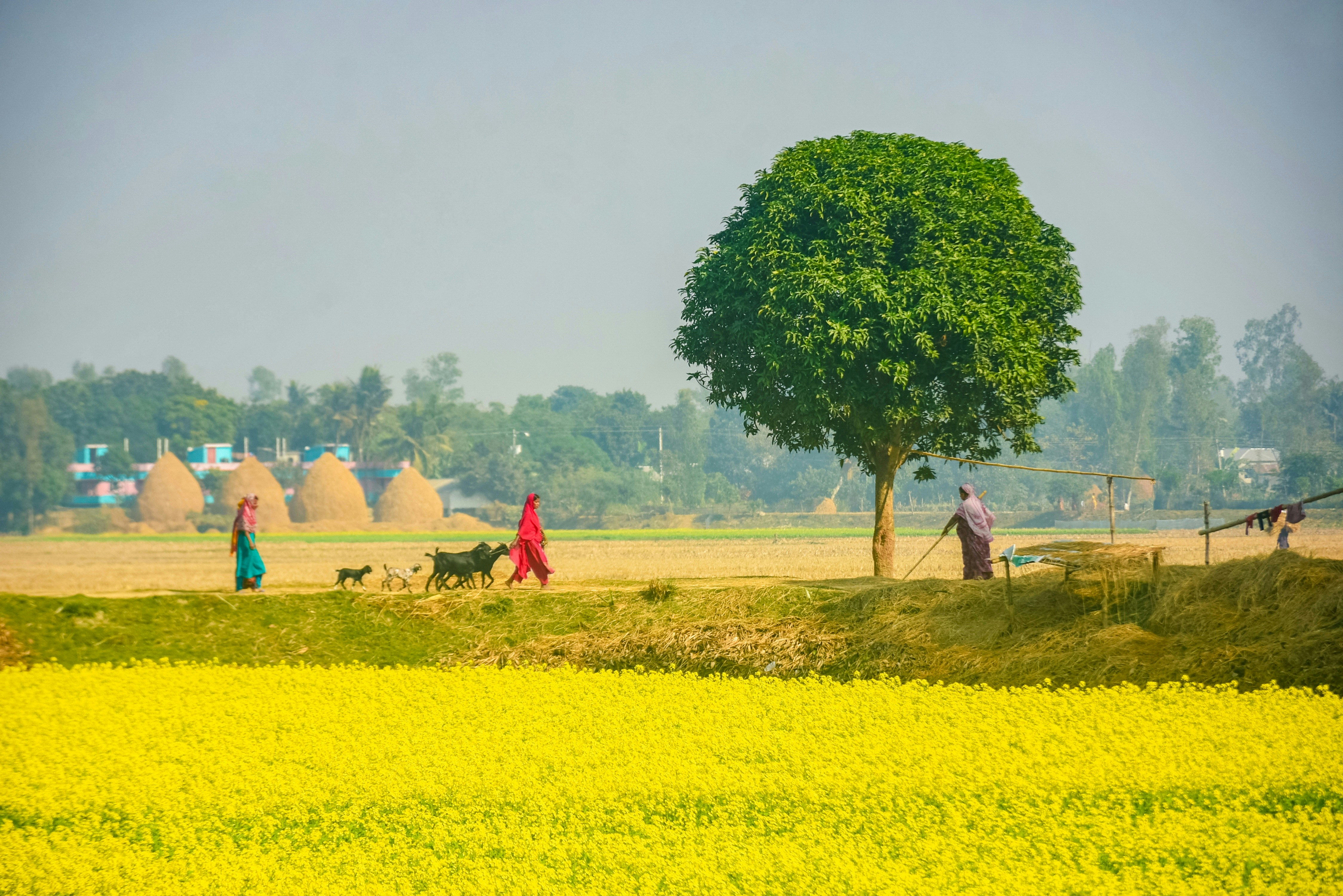 Photo by mahinkhan333