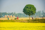 A group of people walking across a field