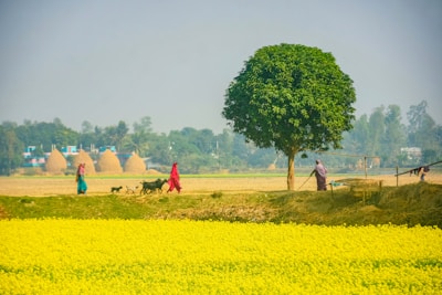 A group of people walking across a field