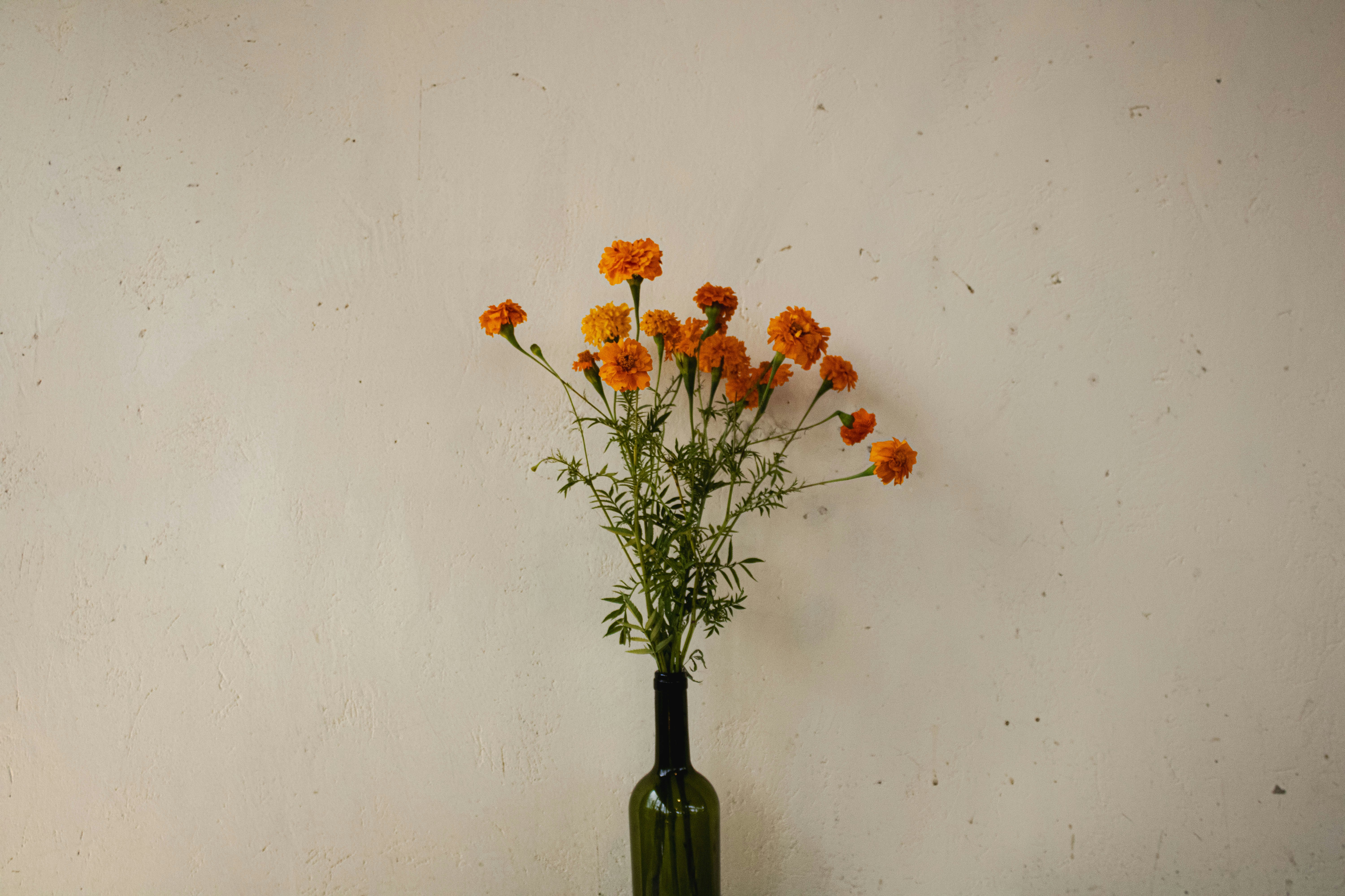 Photo by jimena_hersaez