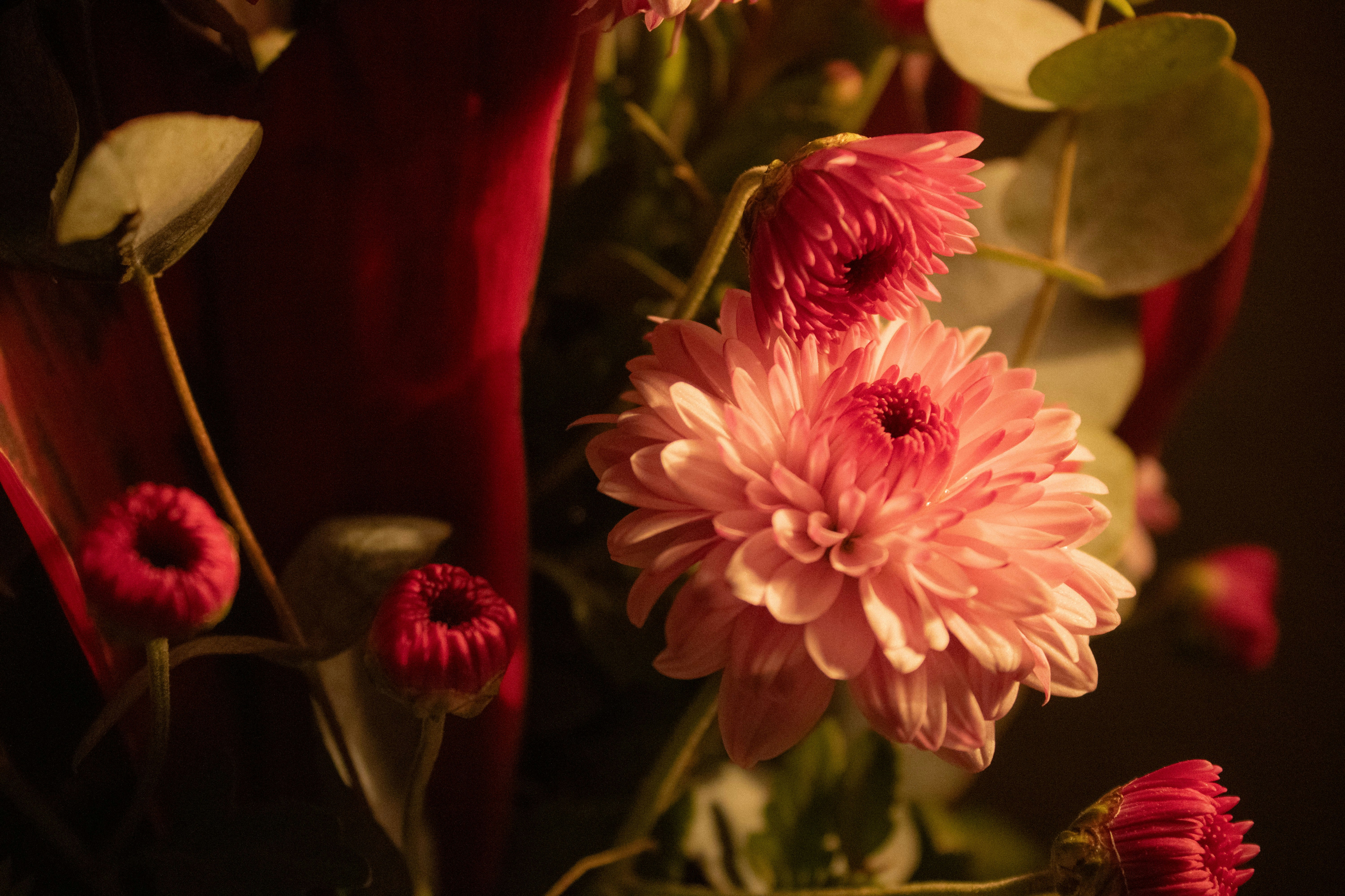 Photo by jia_hersaez