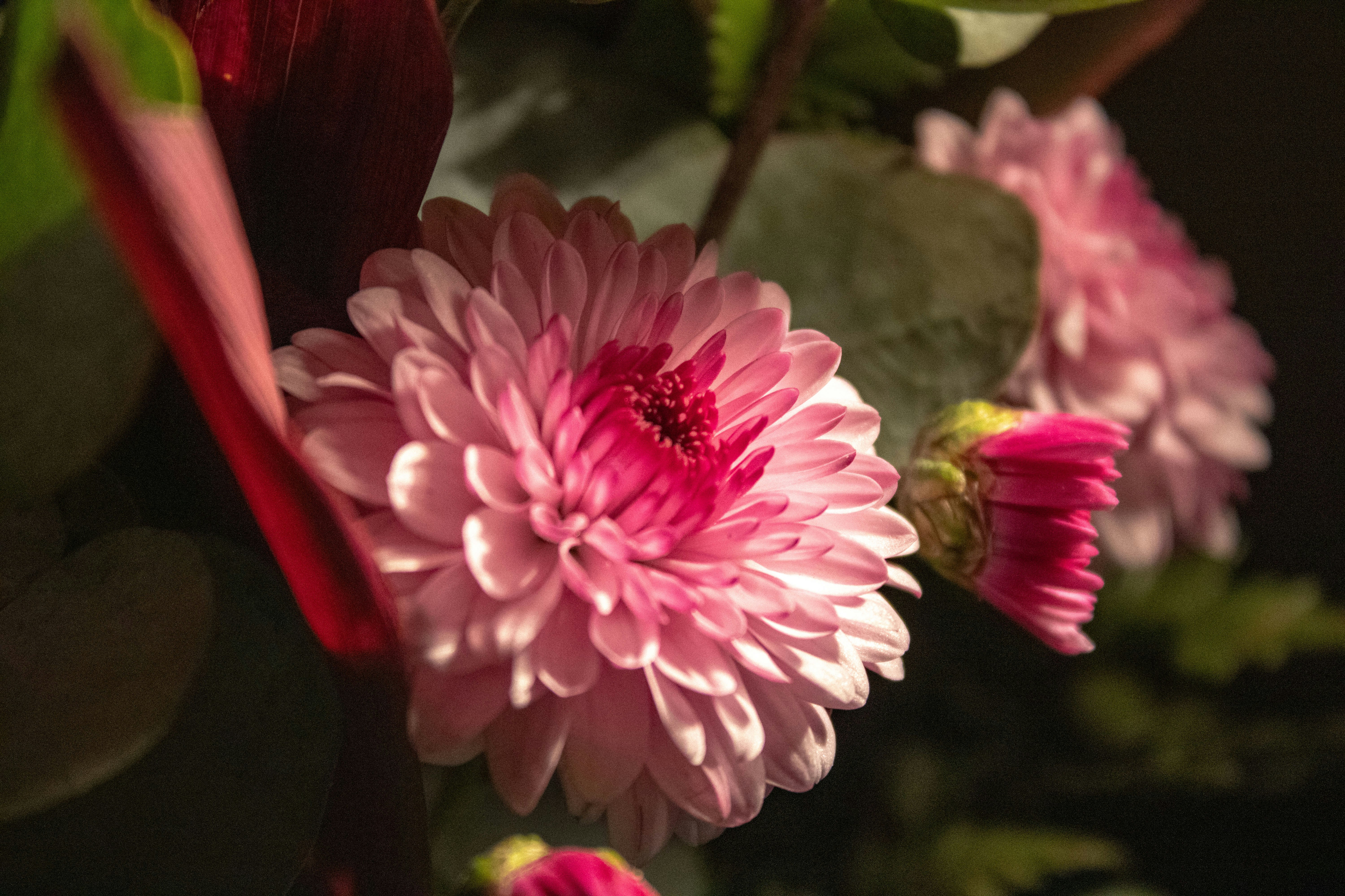 Photo by jia_hersaez