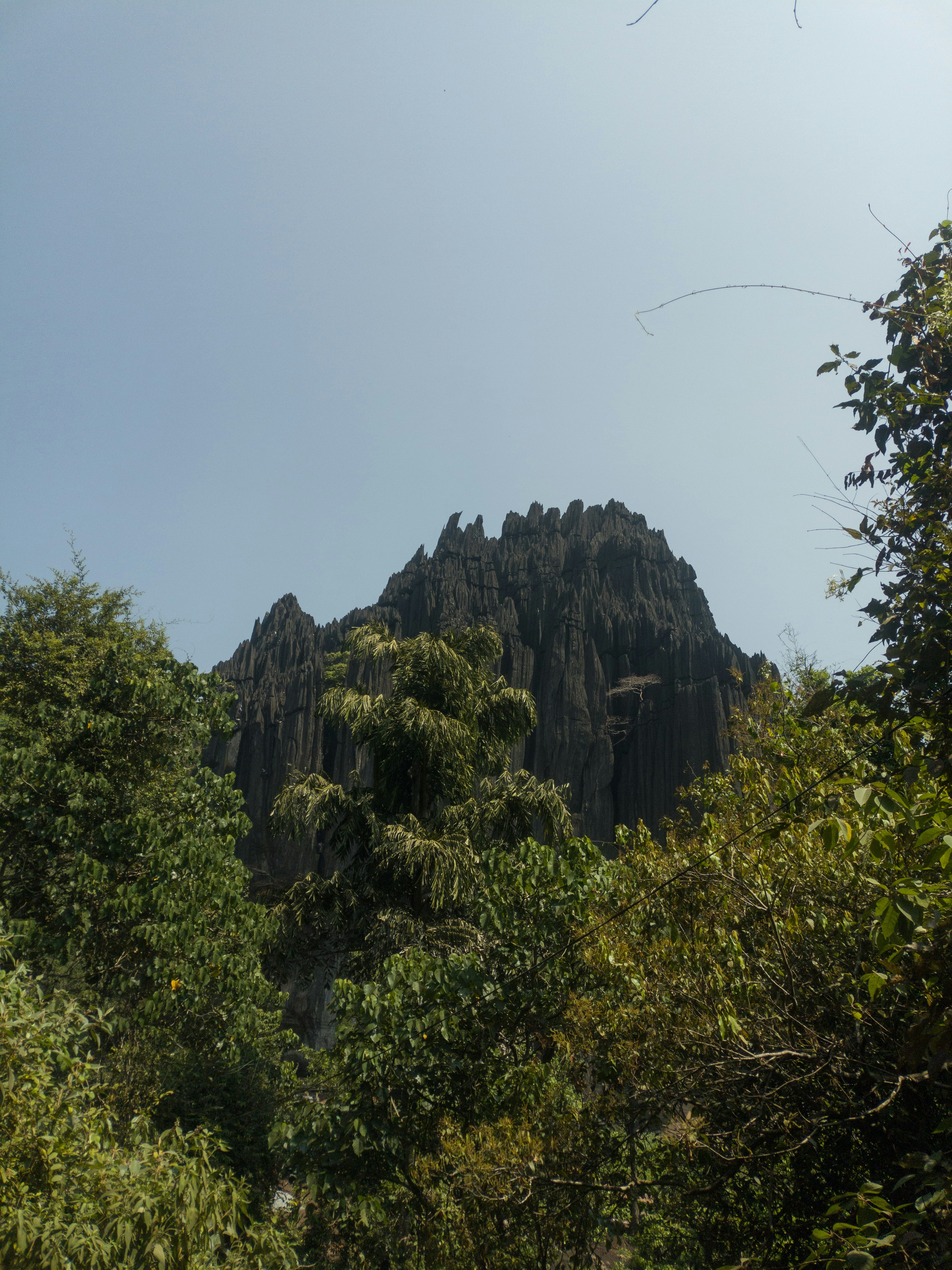 Photo by attack_titan_