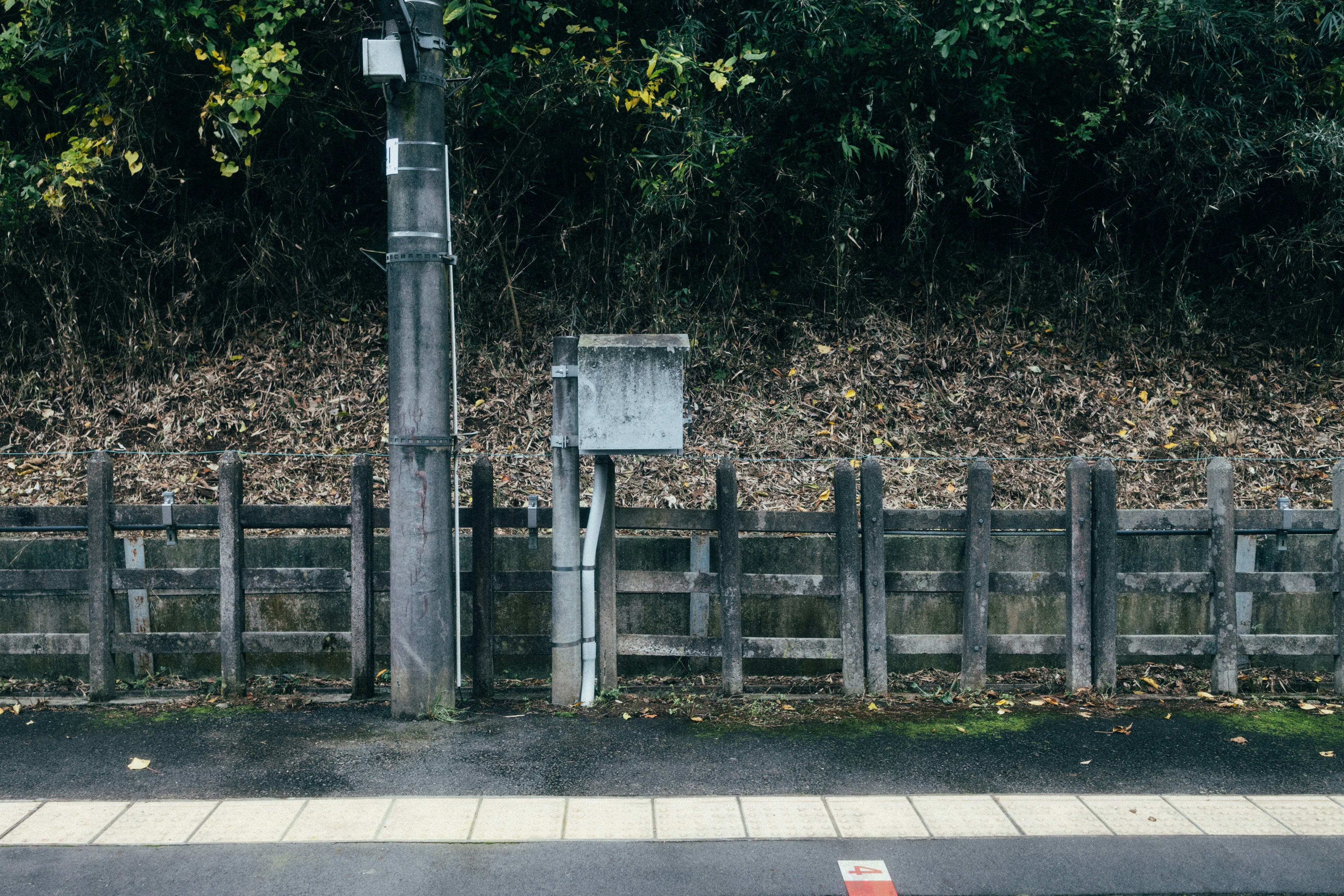 Photo by tsuyoshikozu