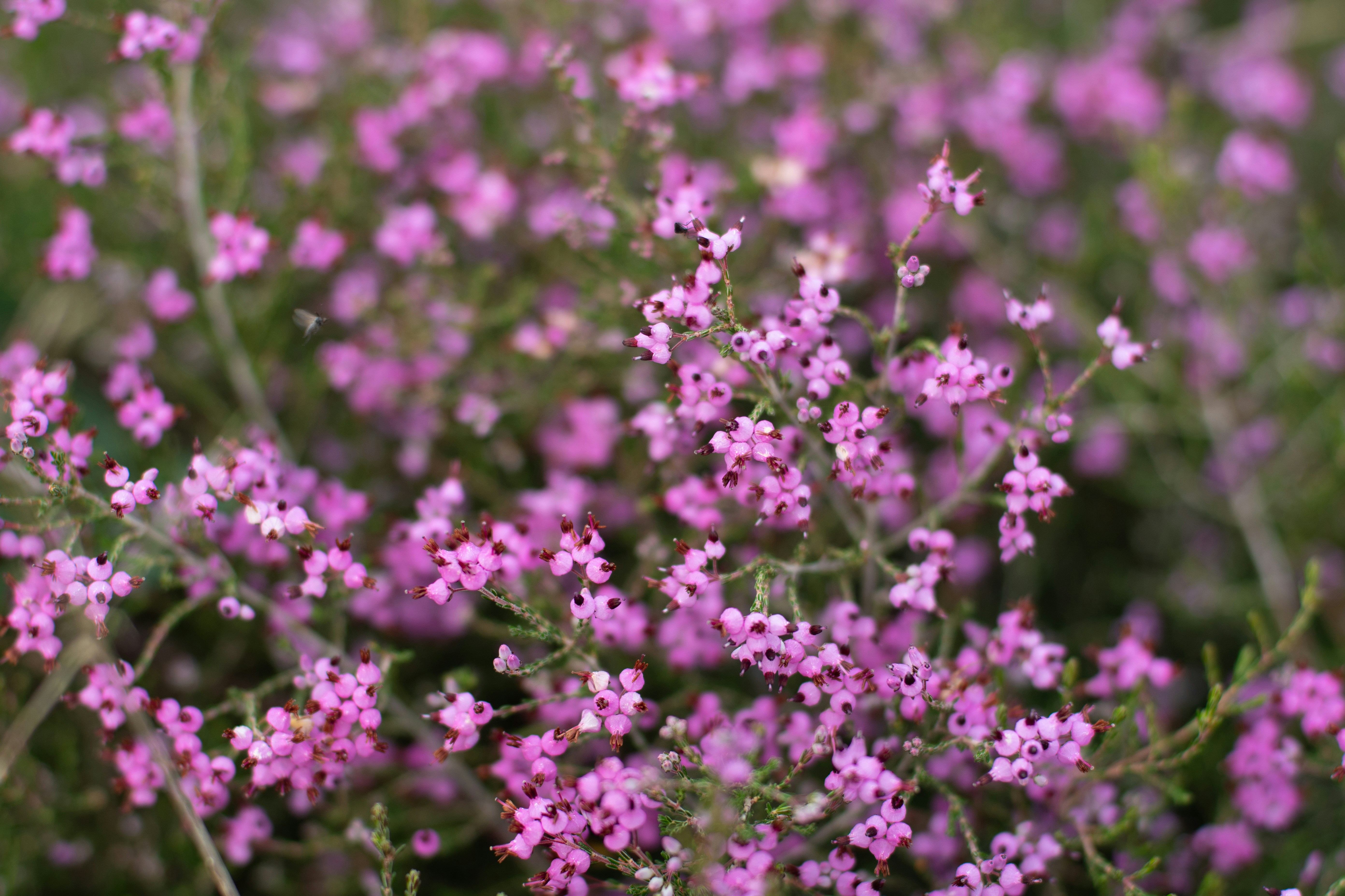 Photo by nataliaraylenegusakova