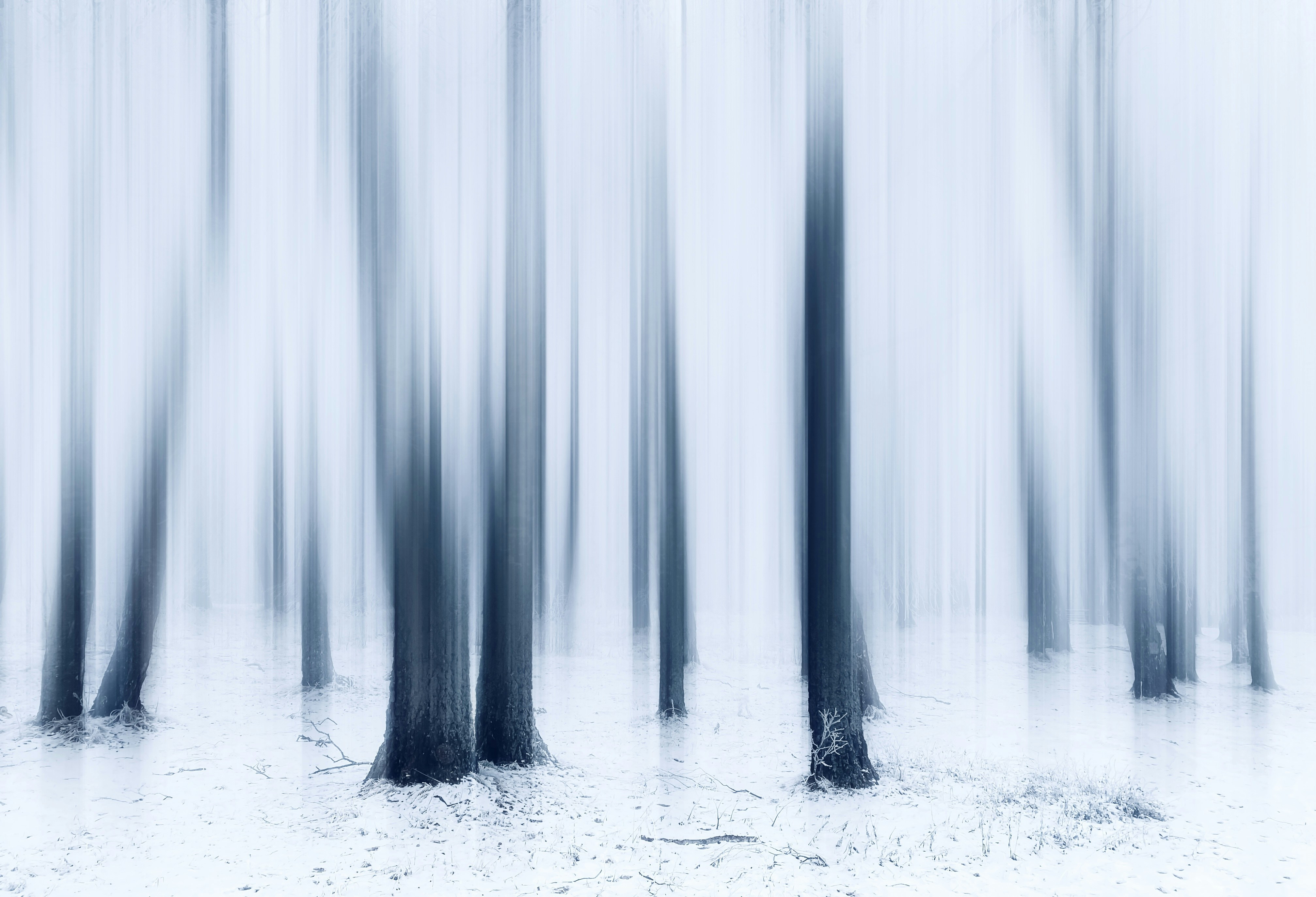 Photo by eugene_golovesov