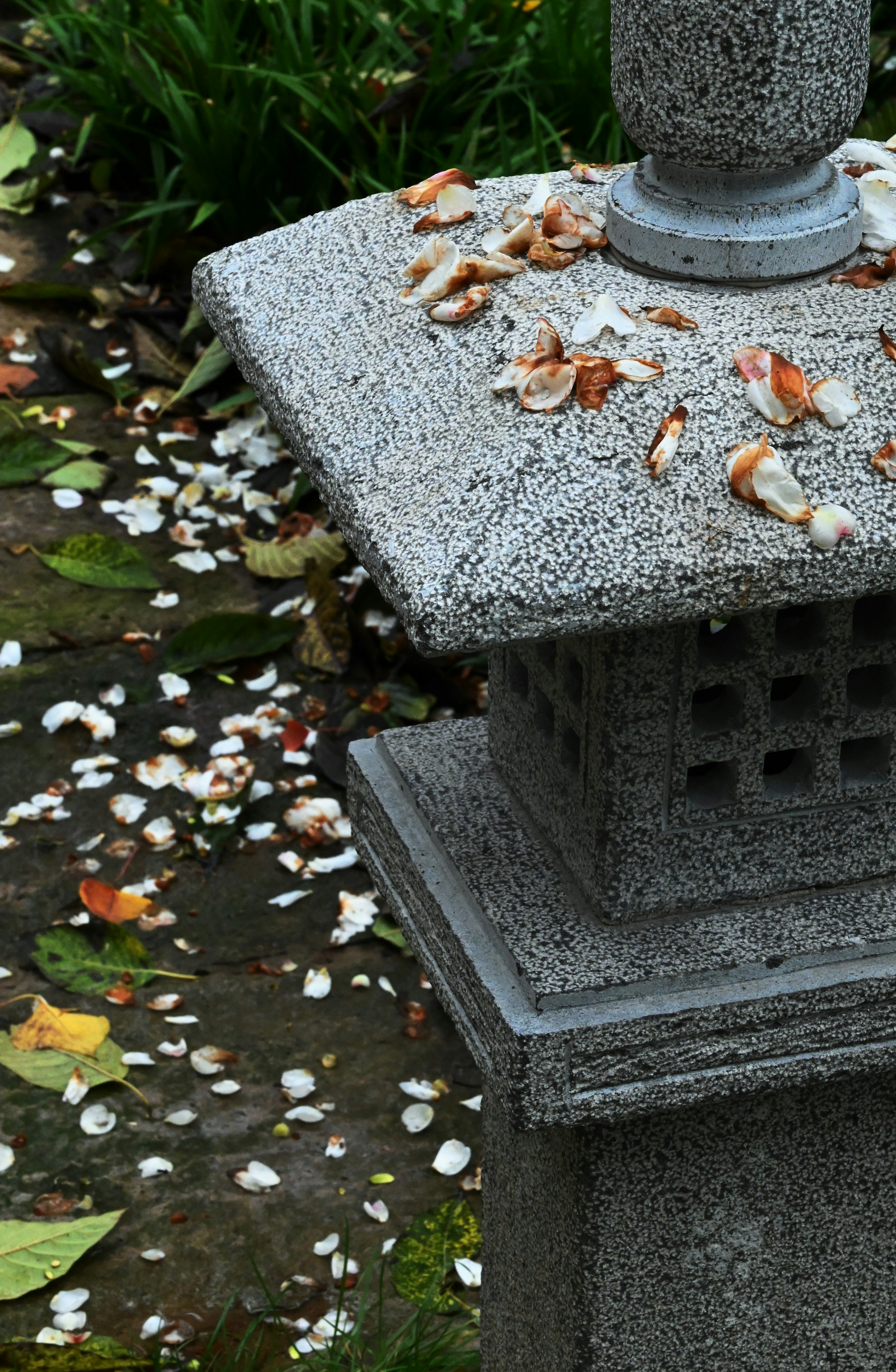 Photo by ganzhongxue