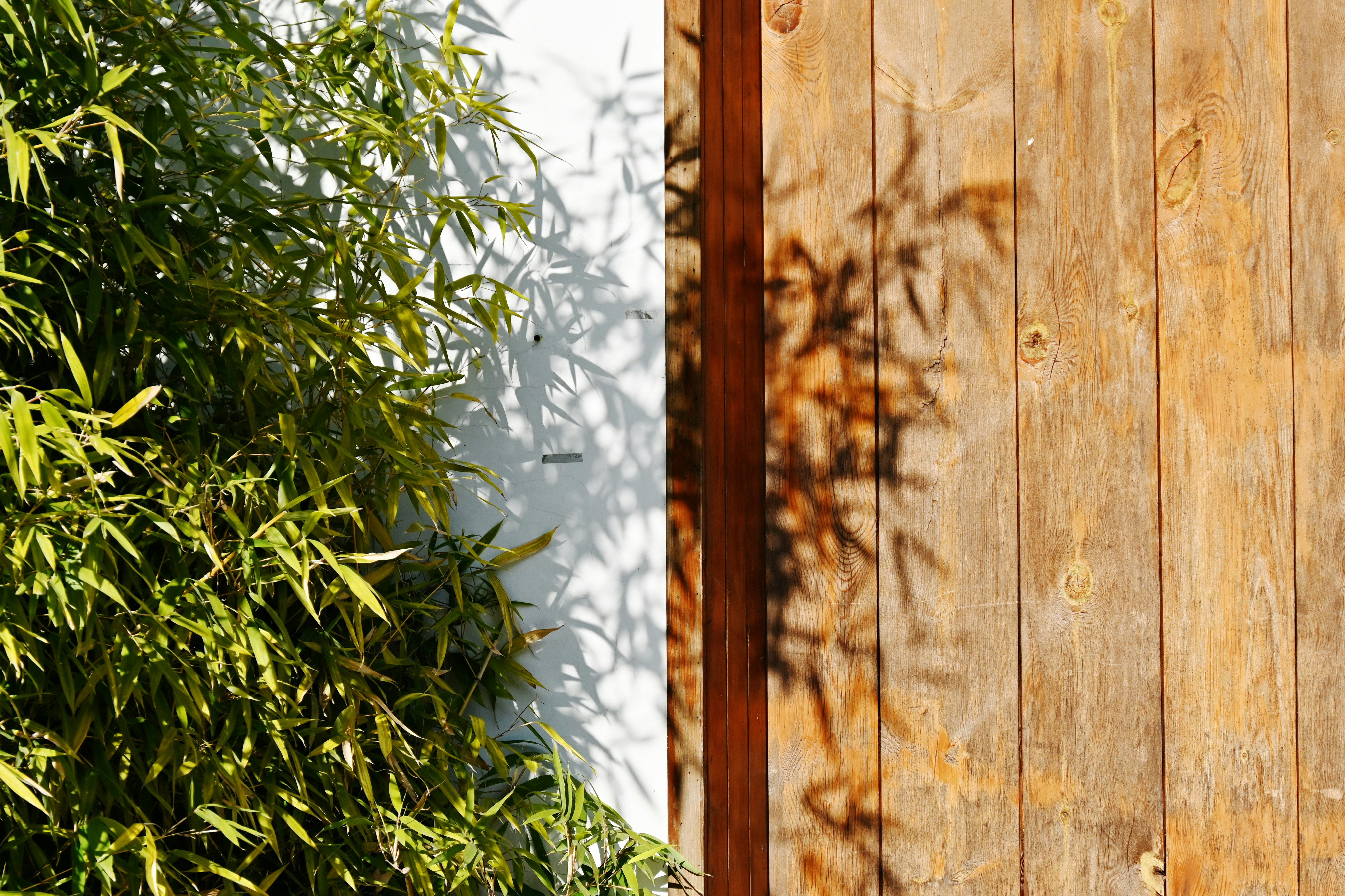 Photo by ganzhongxue