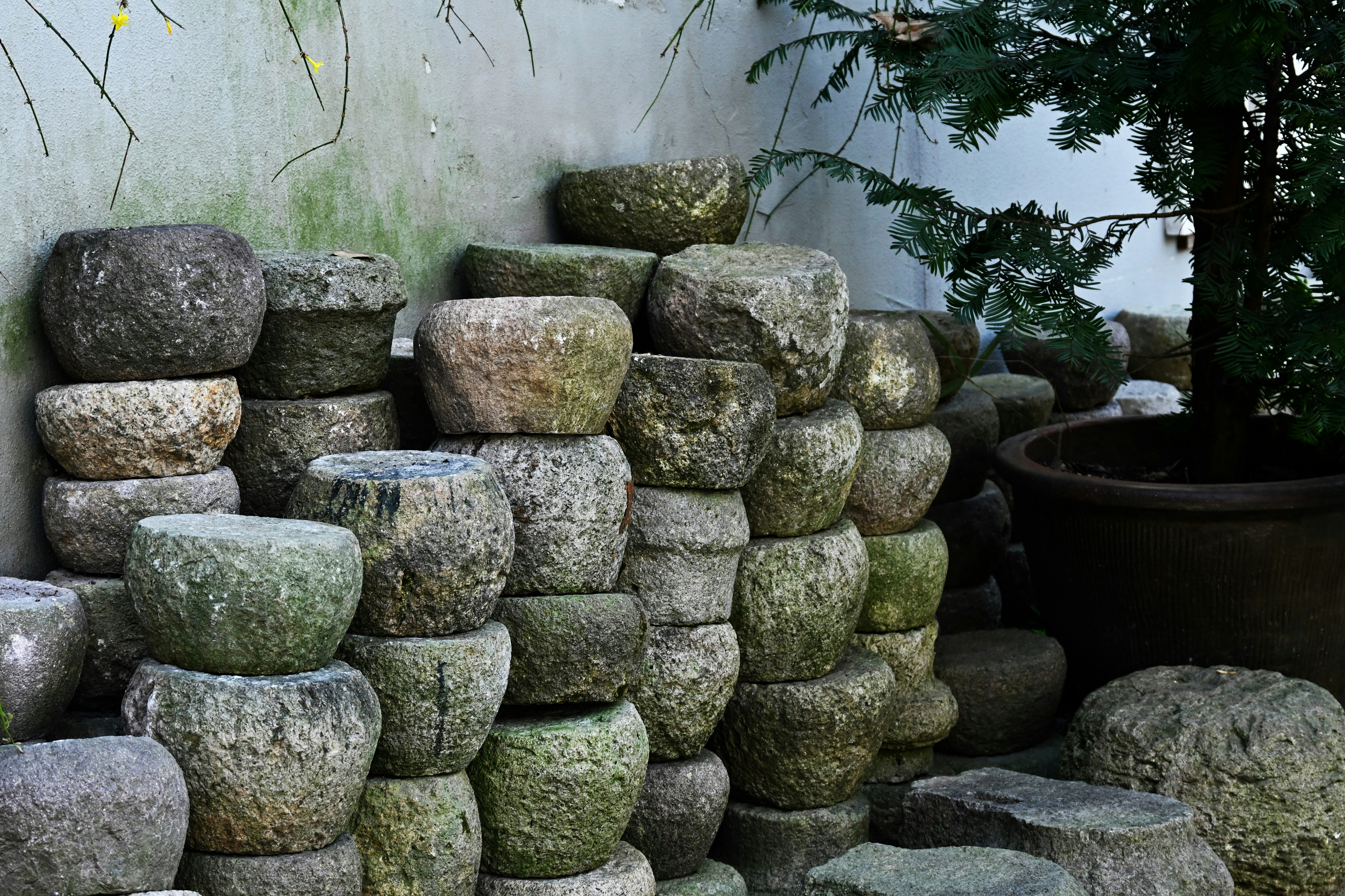 A pile of rocks sitting next to a potted plant