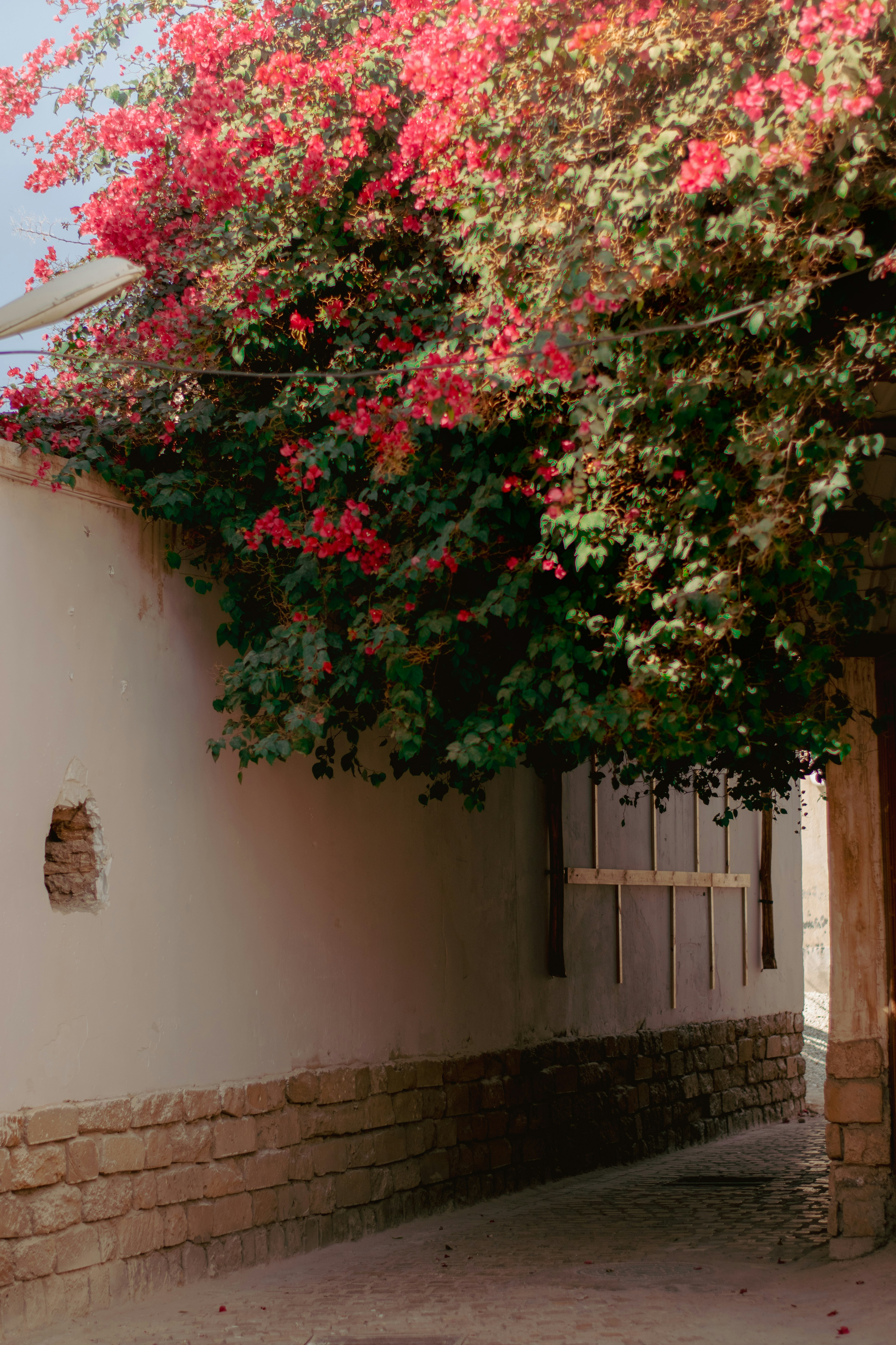 Photo by ilostmyselfout