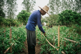 A man standing in a field with a straw hat on