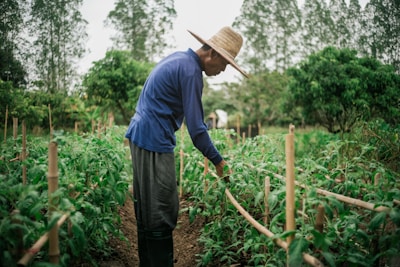 A man standing in a field with a straw hat on