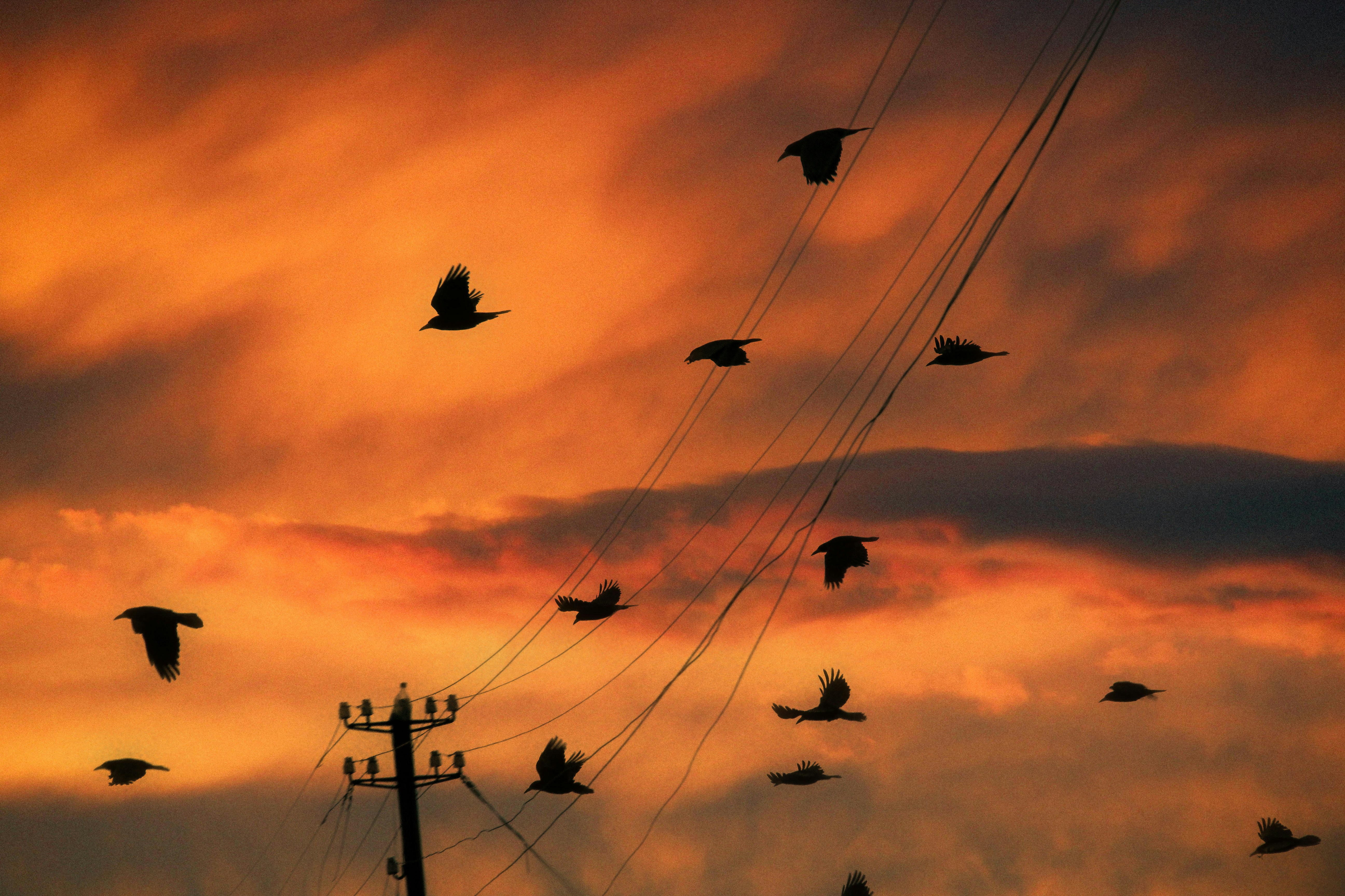 Photo by tvalsatsieri