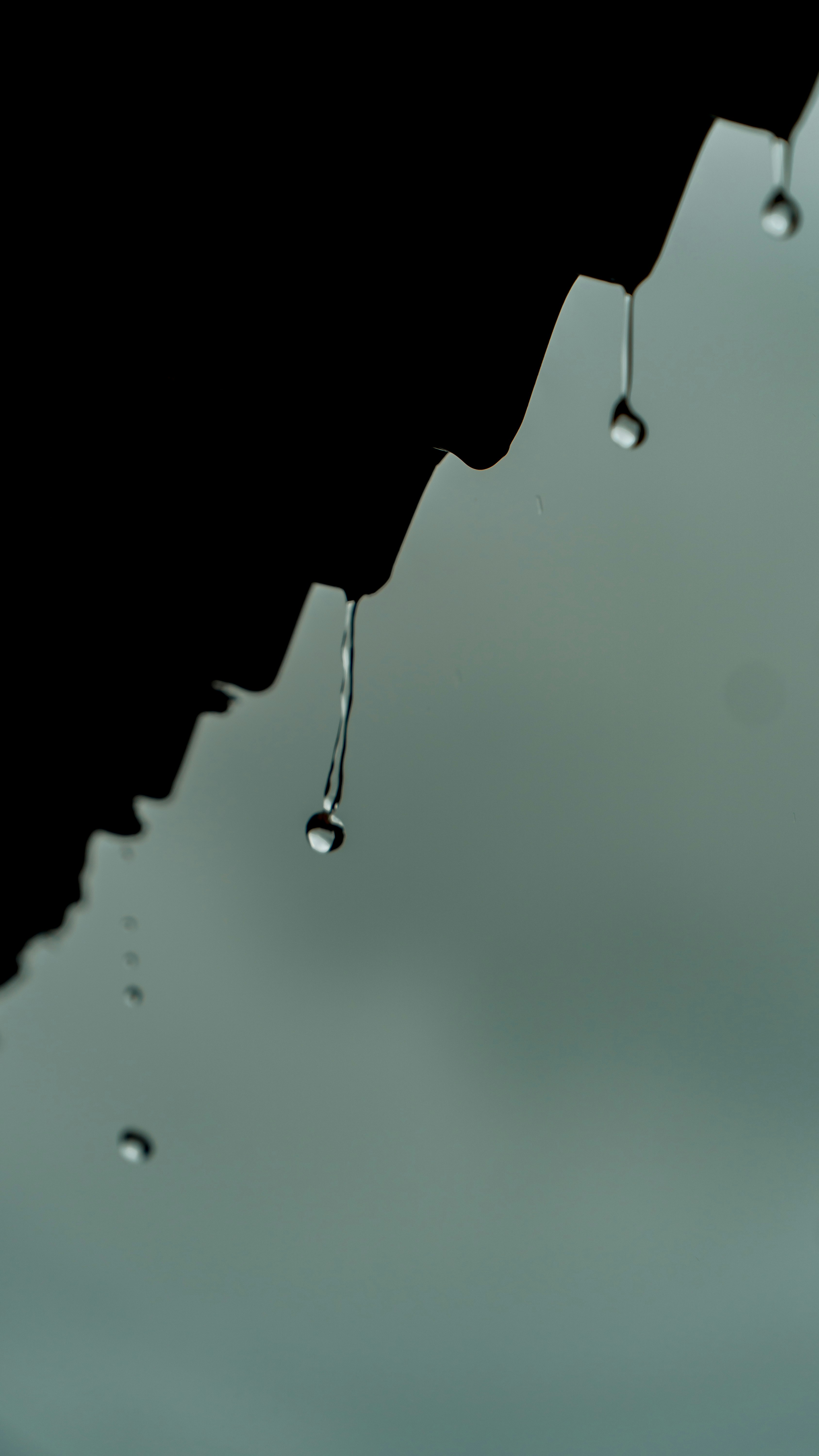 Un gruppo di gocce d'acqua appese a un tetto