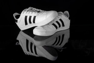 A black and white photo of a pair of shoes