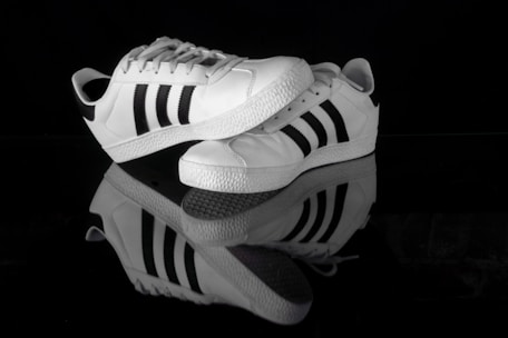 A black and white photo of a pair of shoes