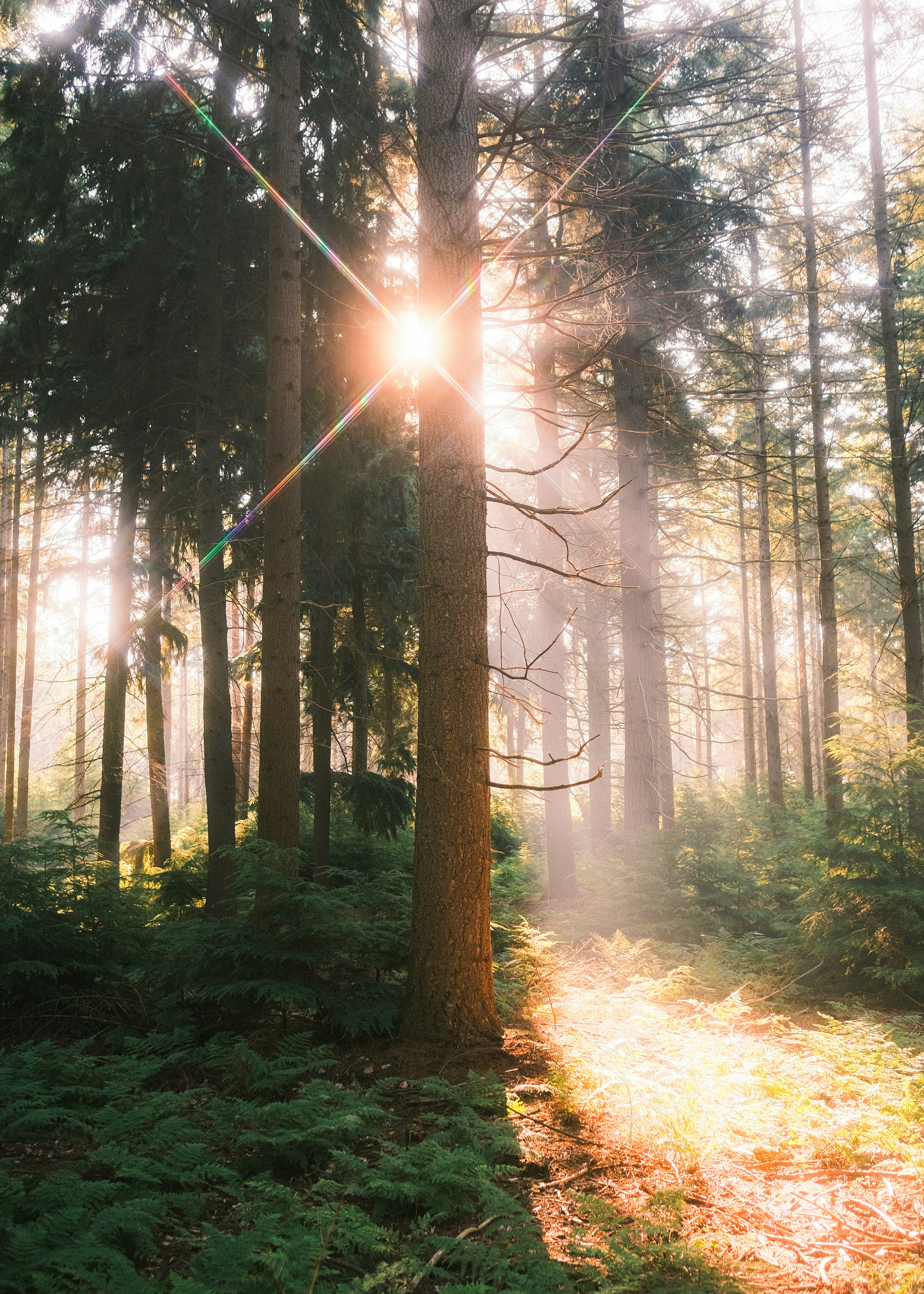 Photo by visualsbying