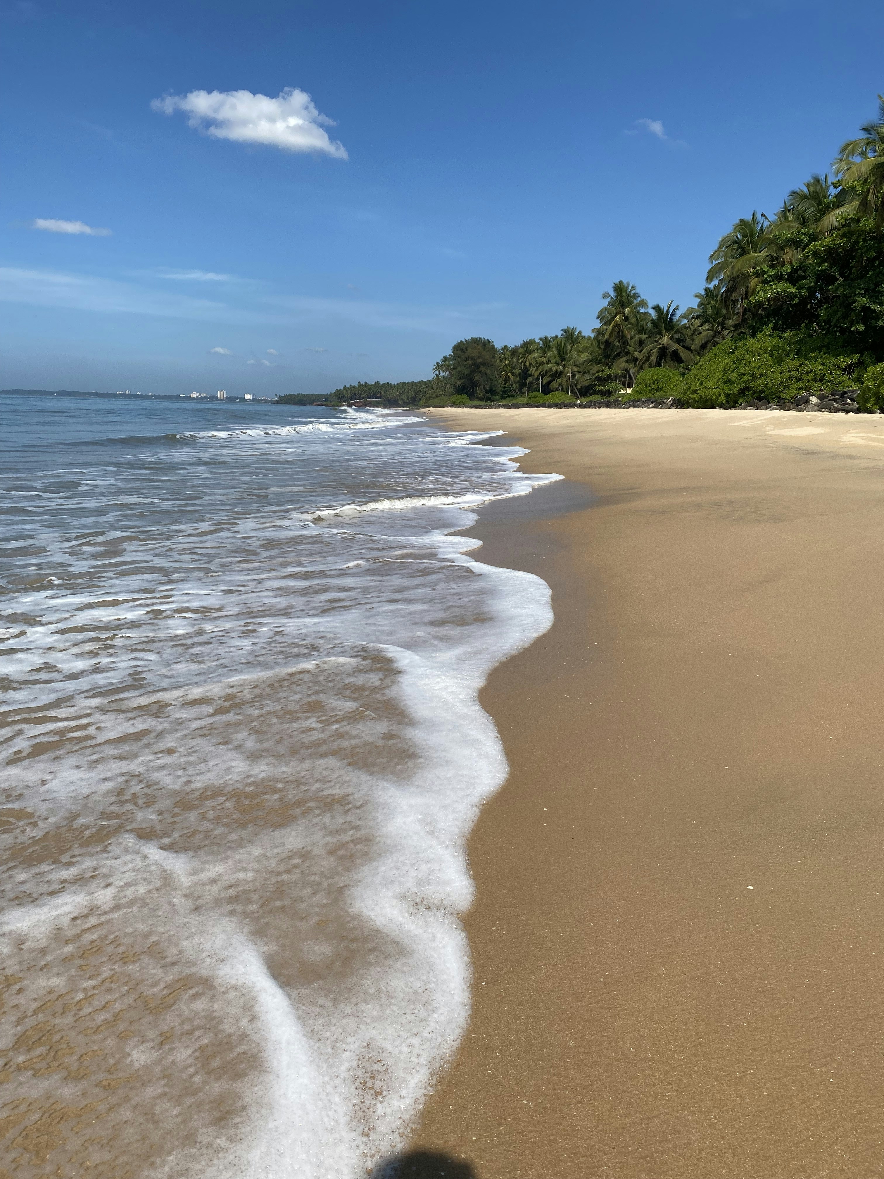 Photo by chaturvedi_vardhanharsh