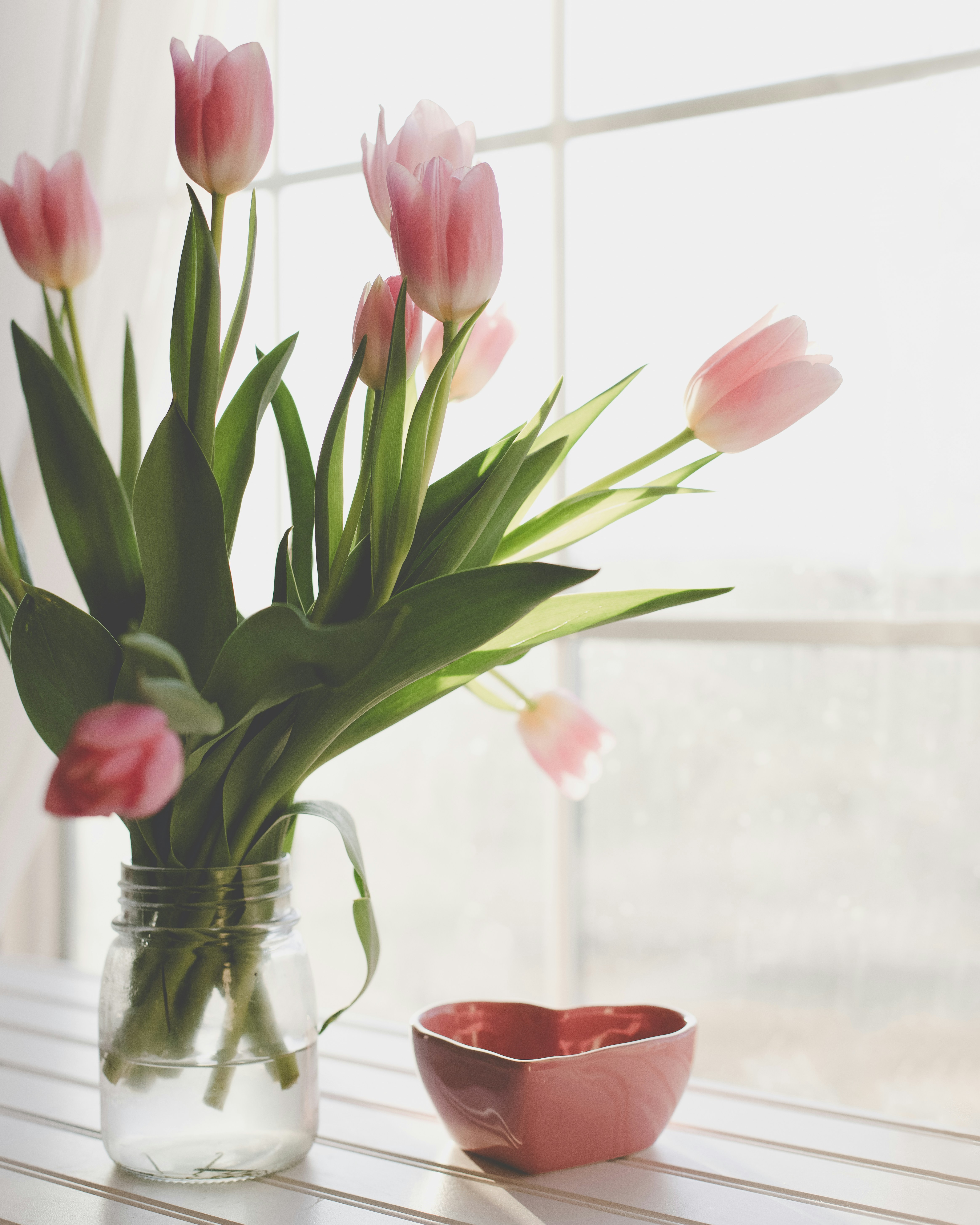 Photo by sixteenmilesout