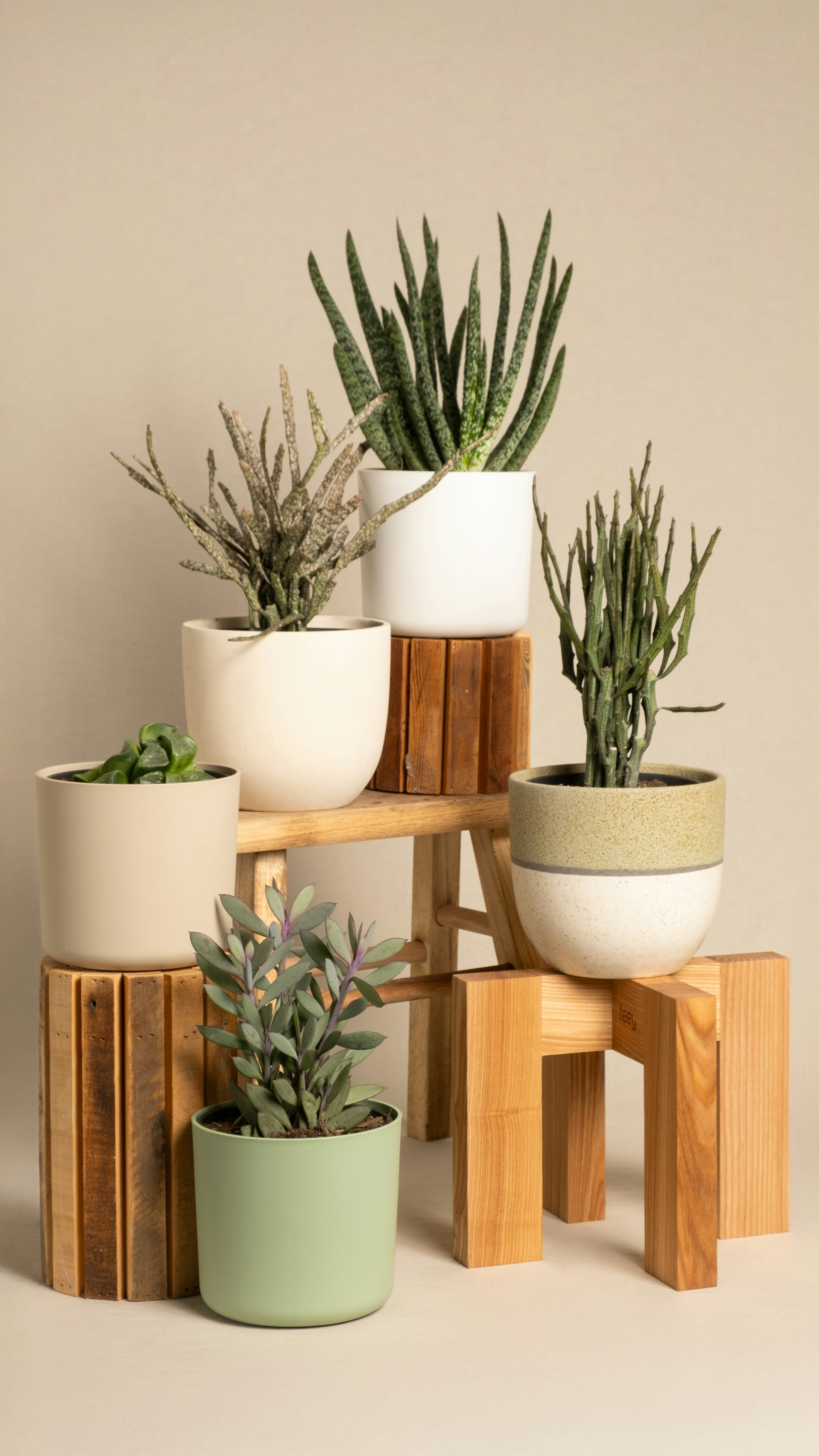 Photo by feeypflanzen