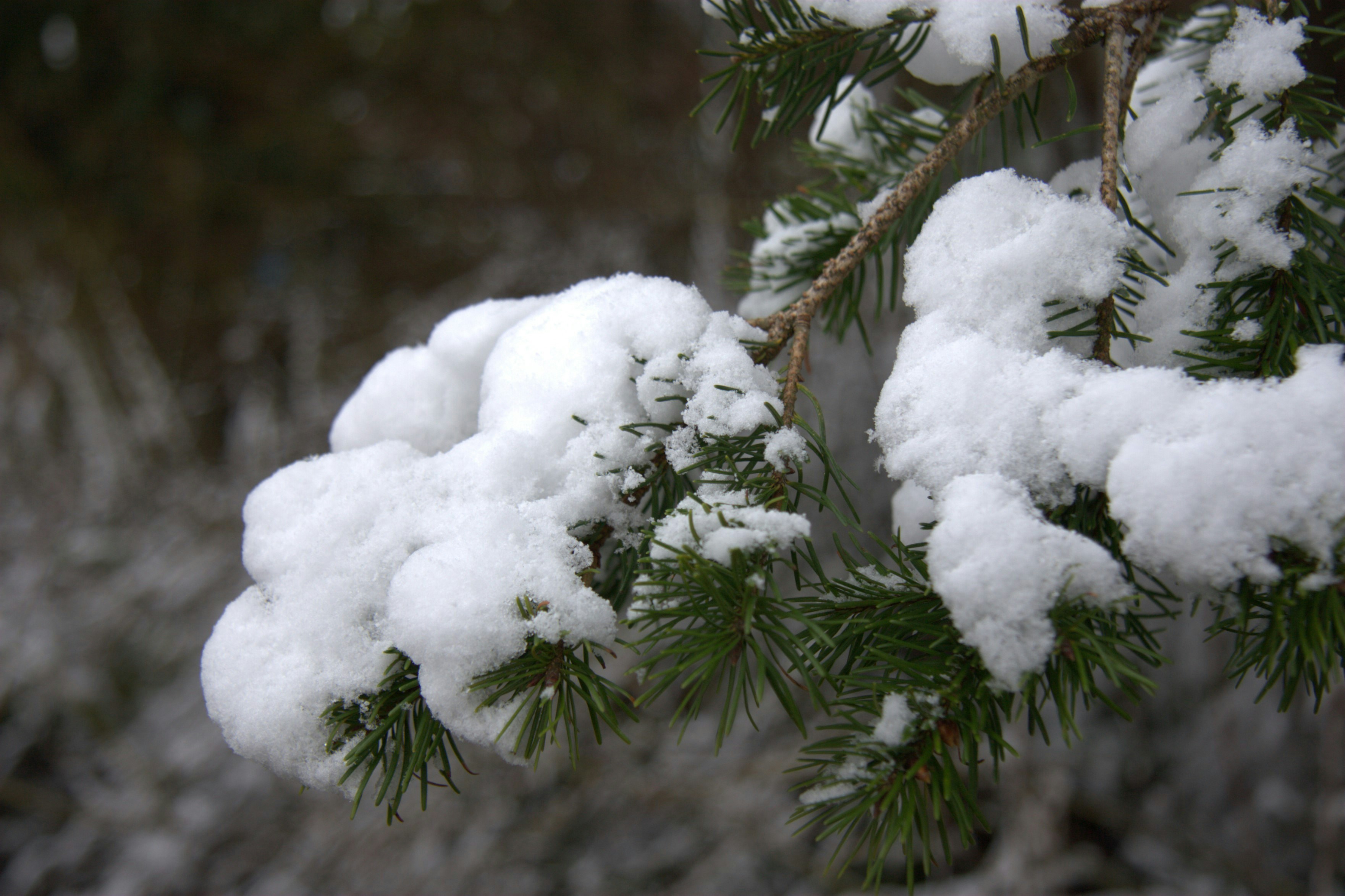 Photo by ernest_boyd