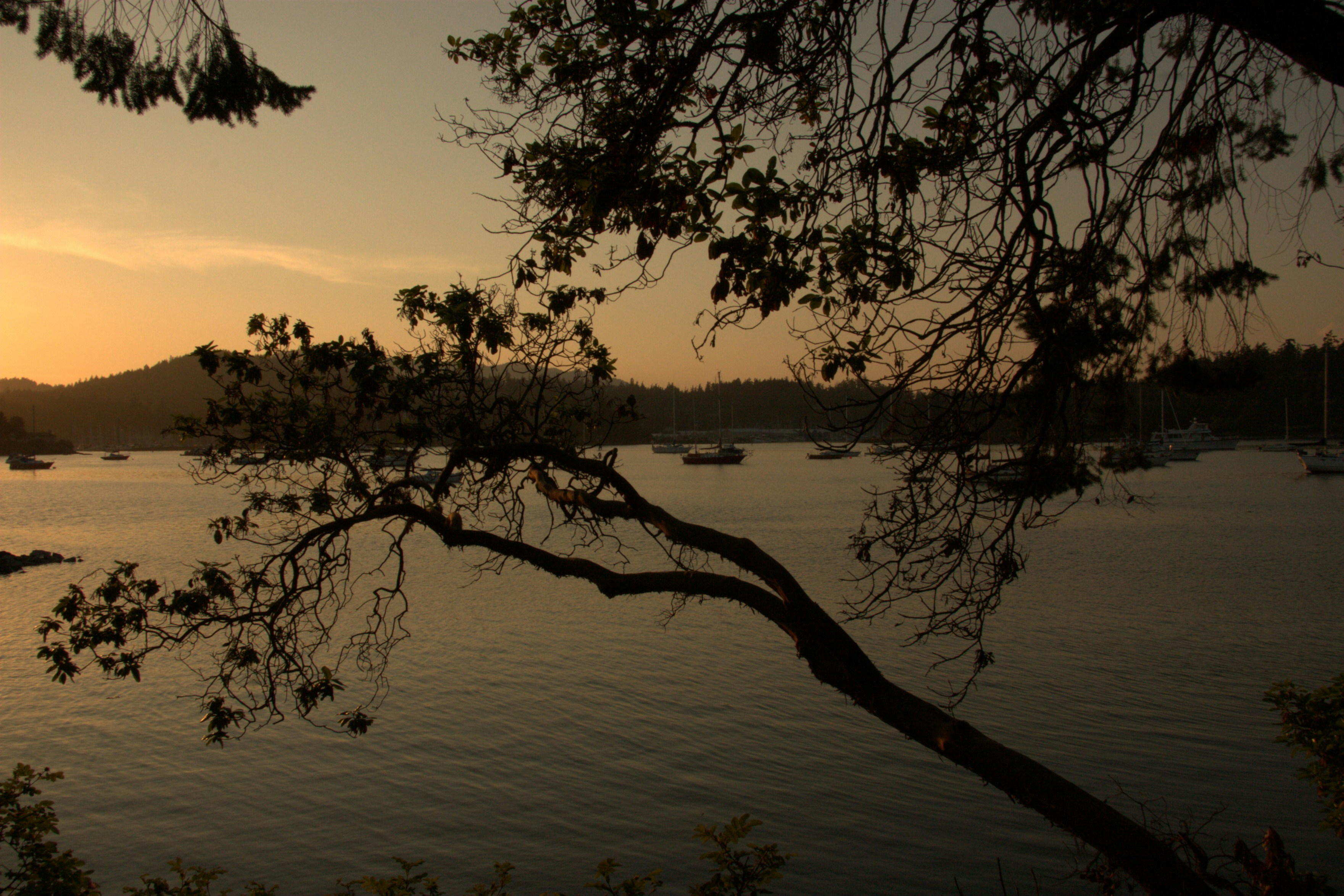 Photo by ernest_boyd