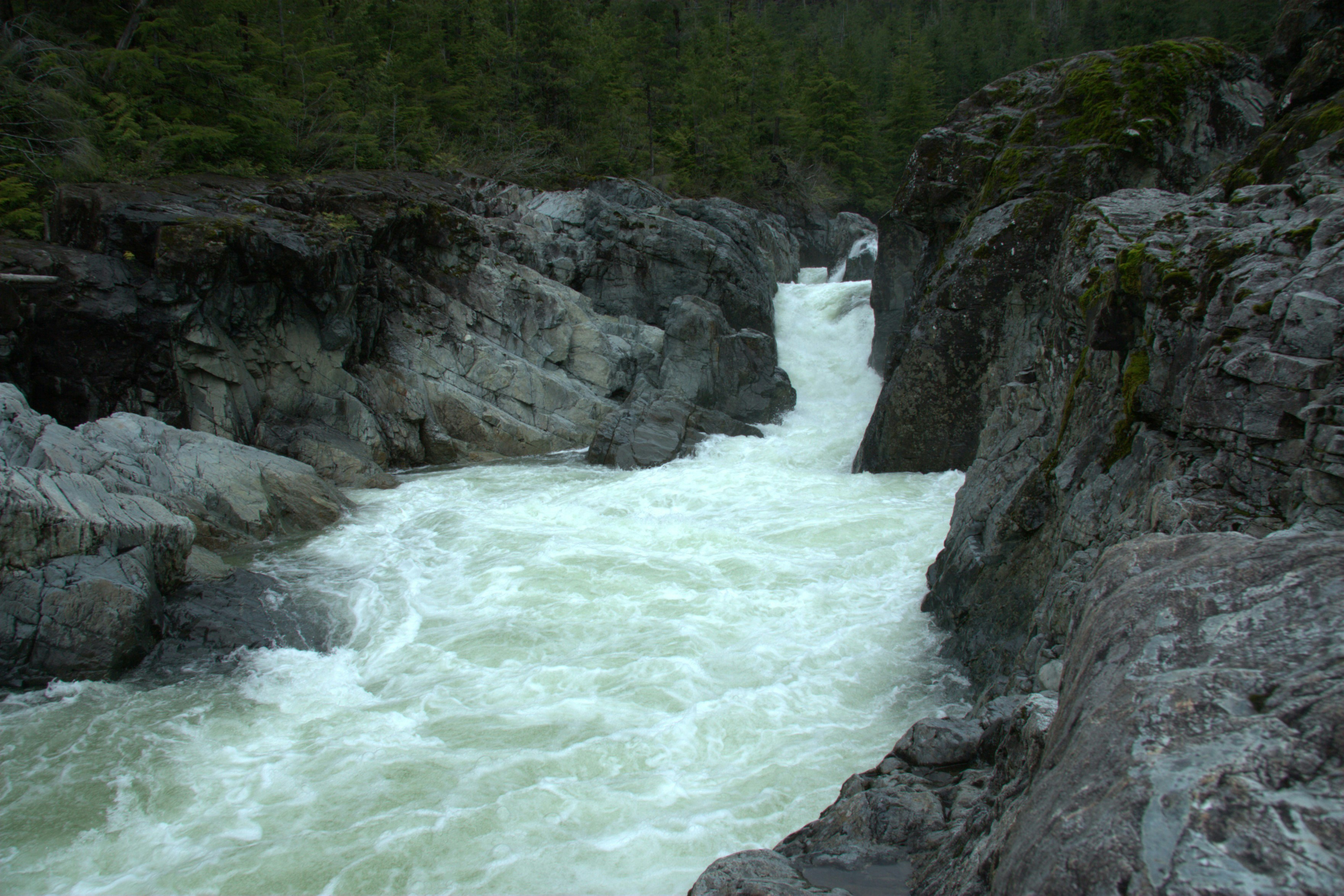 A river running through a rocky area next to a forest