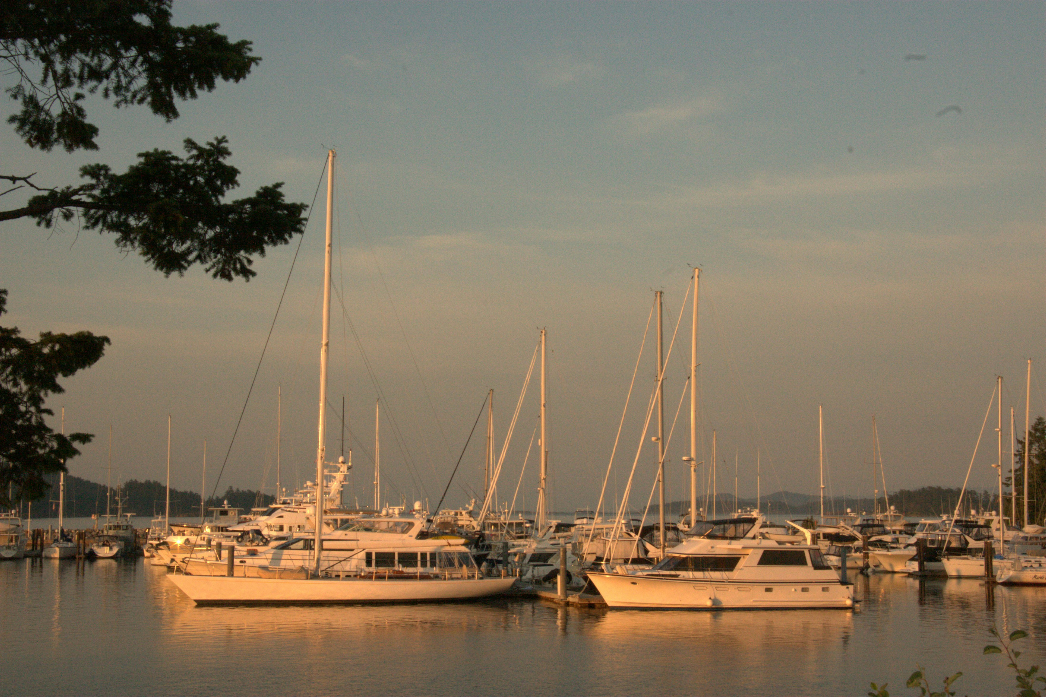 Photo by ernest_boyd