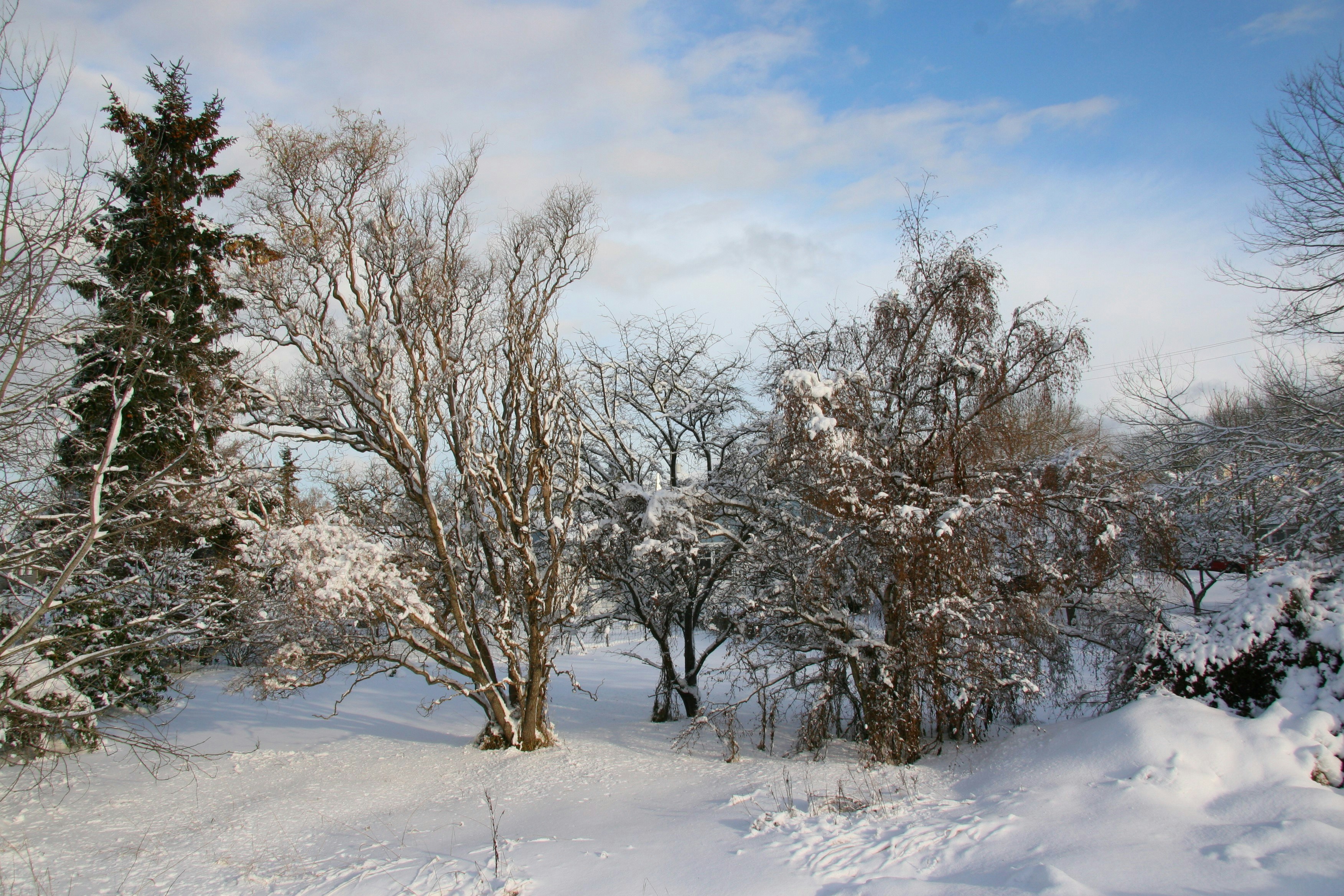 Photo by ernest_boyd