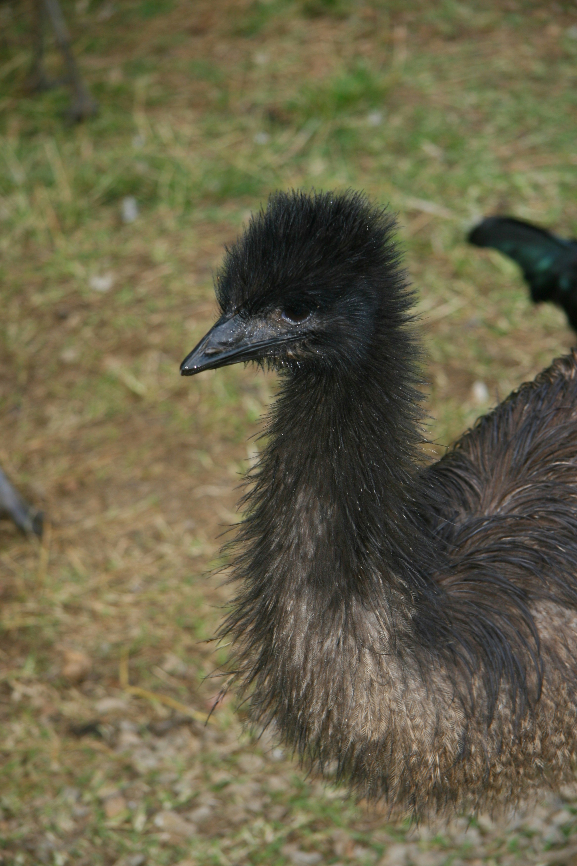 Photo by ernest_boyd