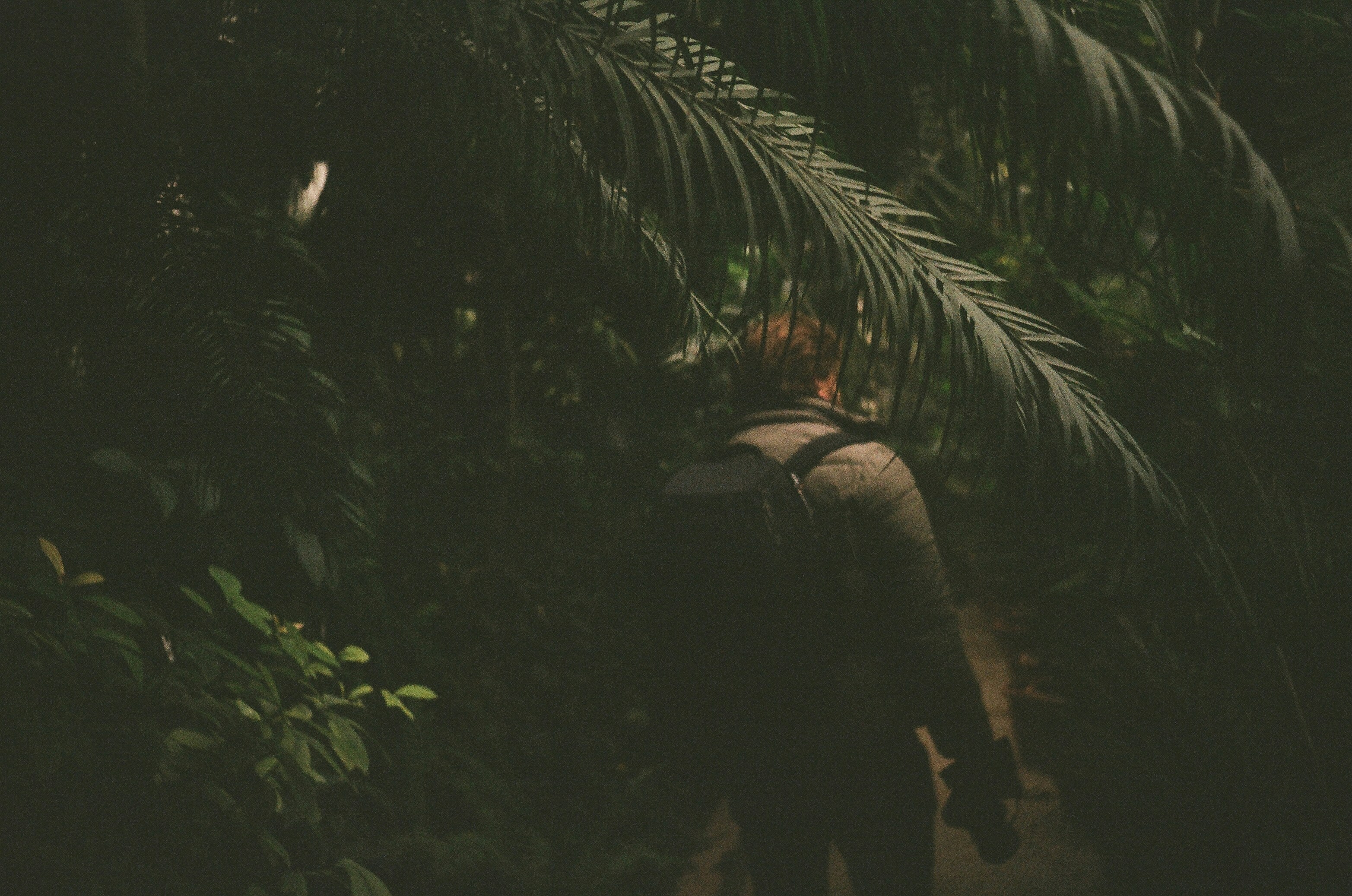 Photo by kornyeir