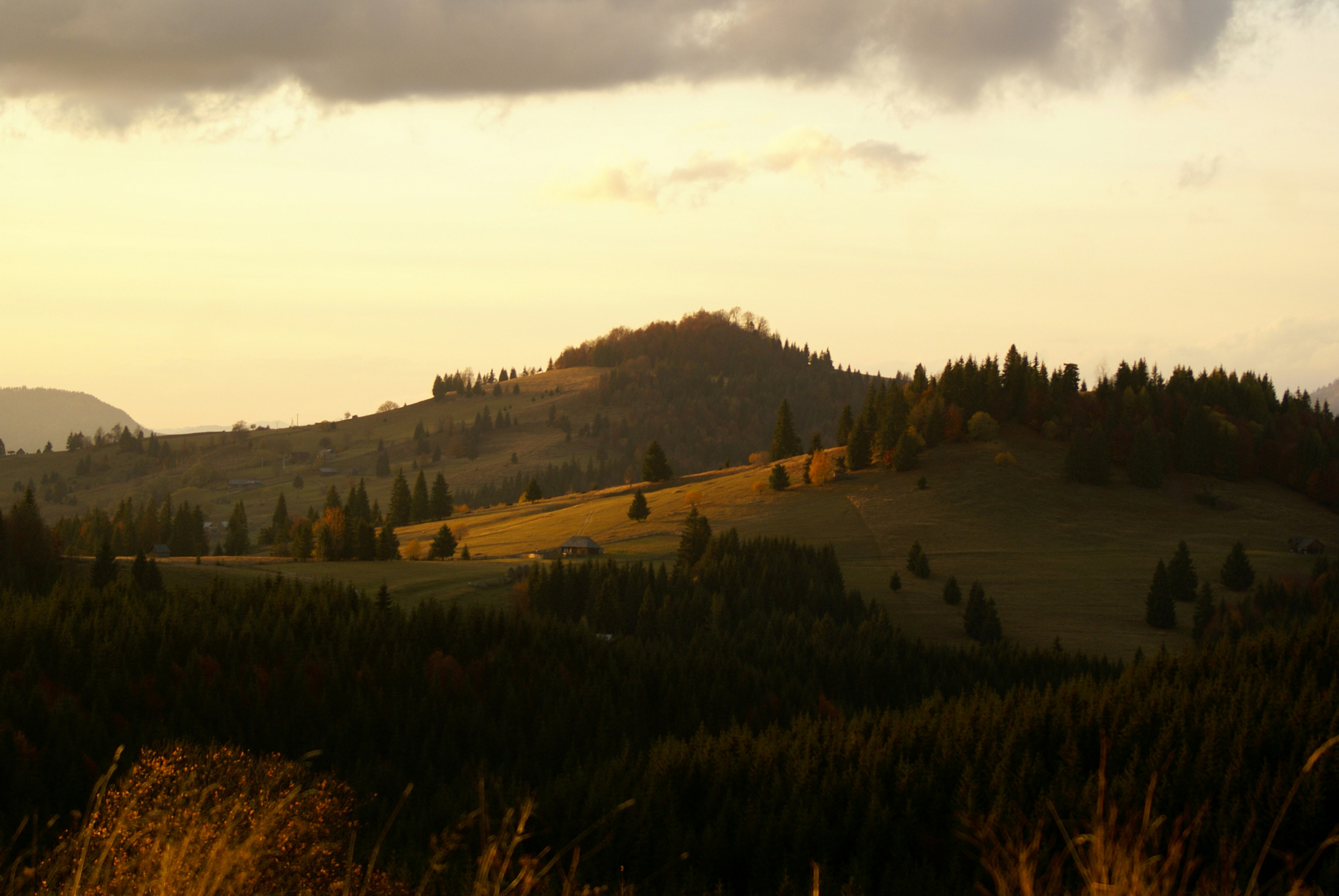 A view of a grassy hill with trees and mountains in the background