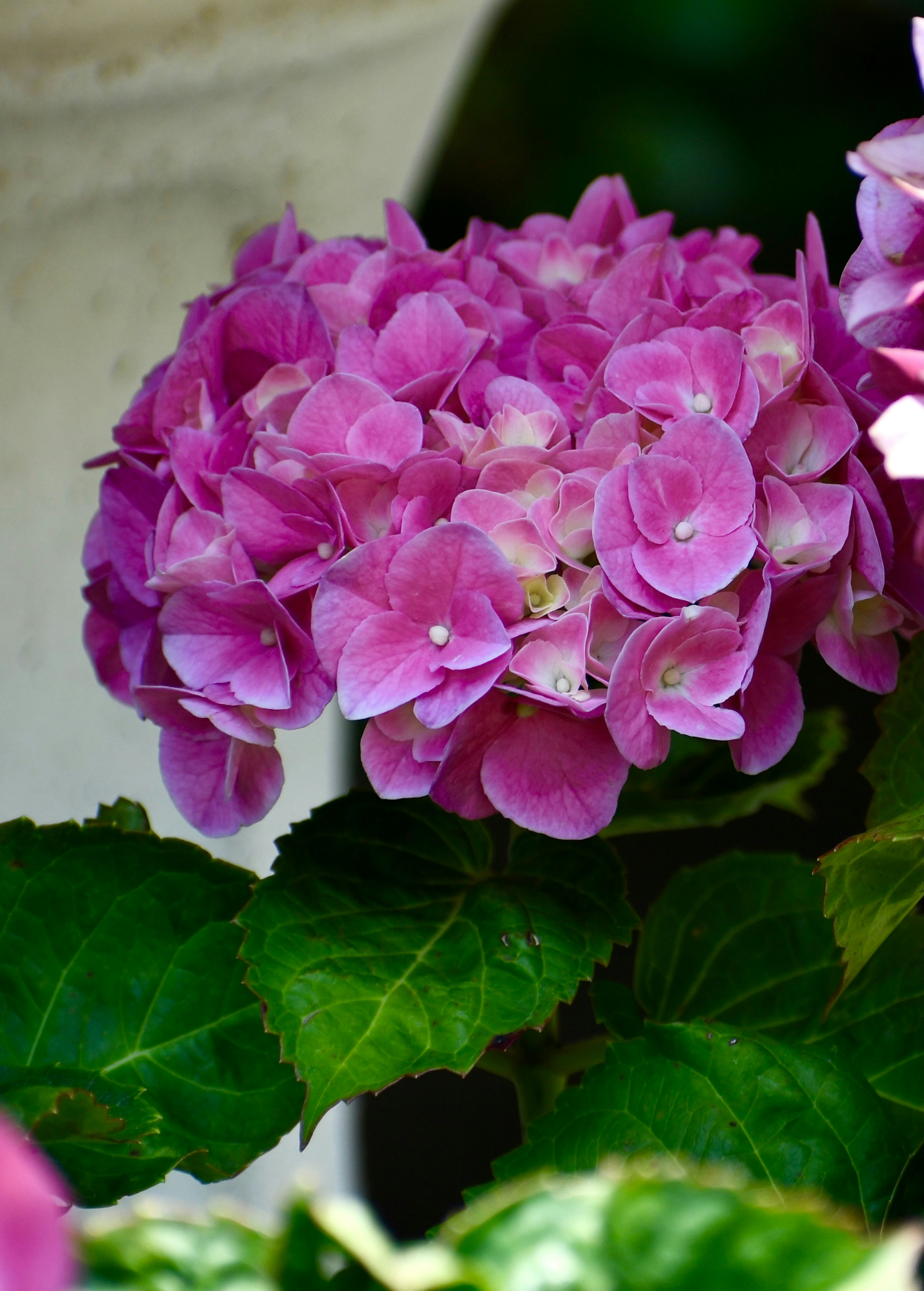 Photo by samarb