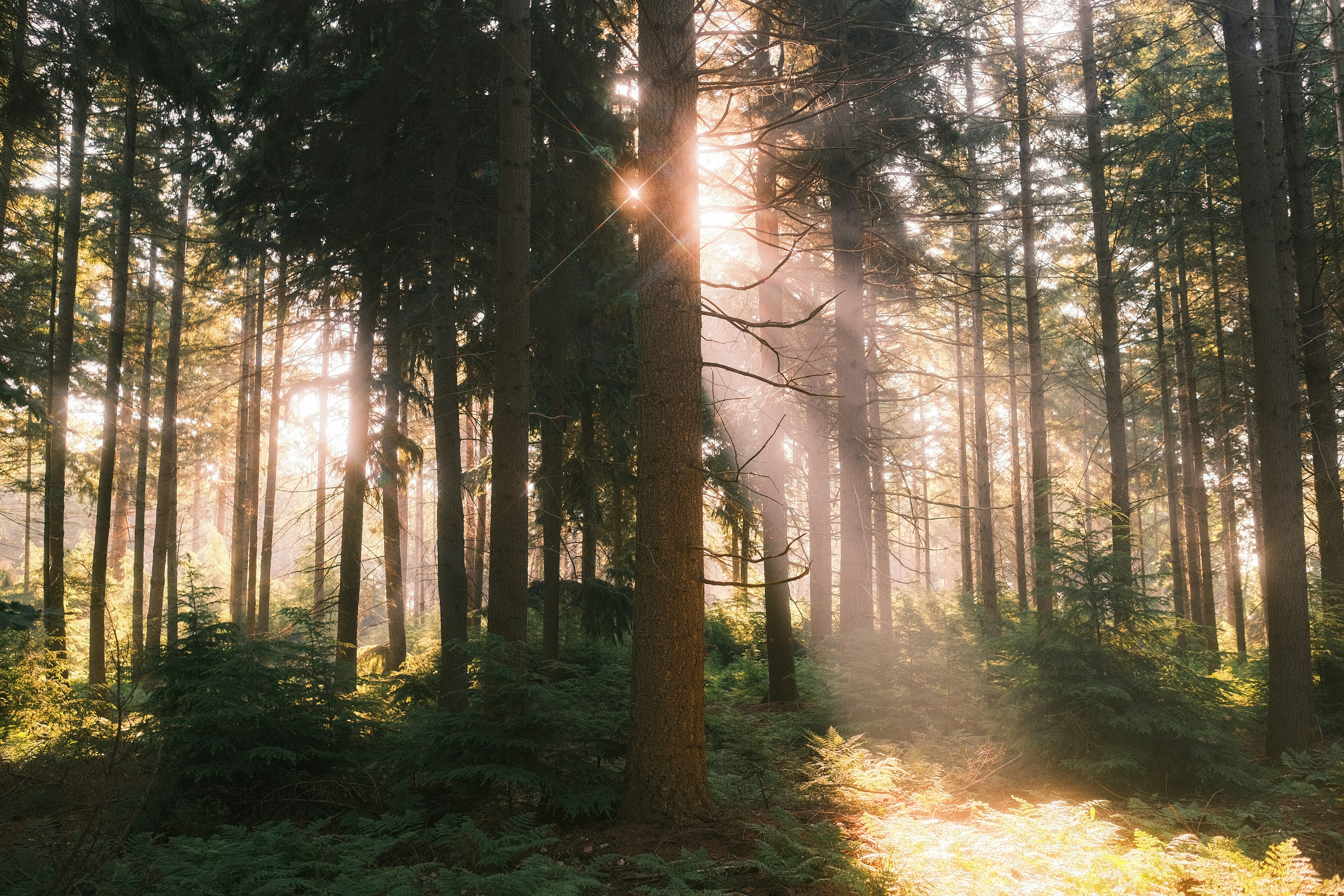 Photo by visualsbying