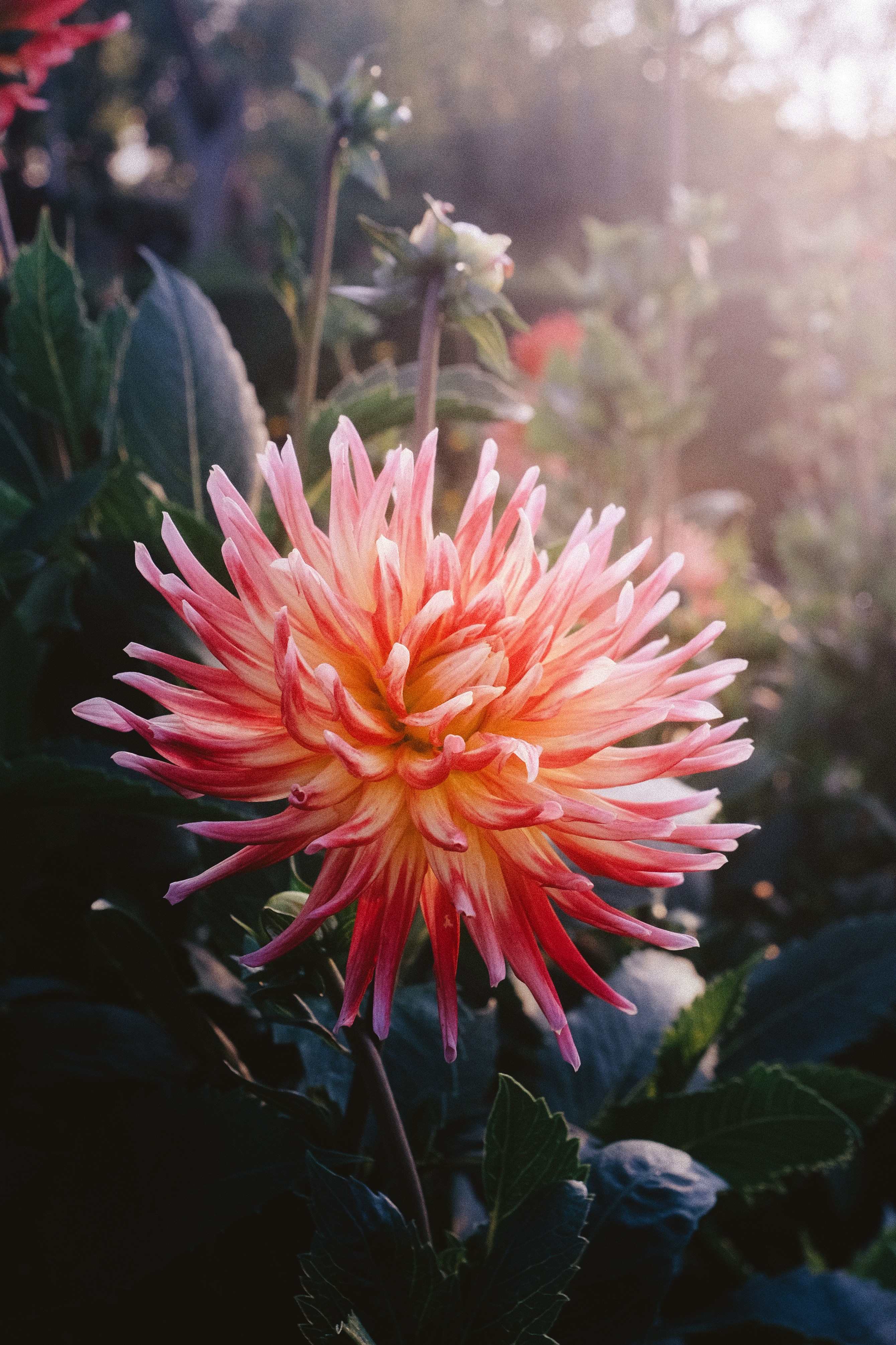 Photo by visualsbying