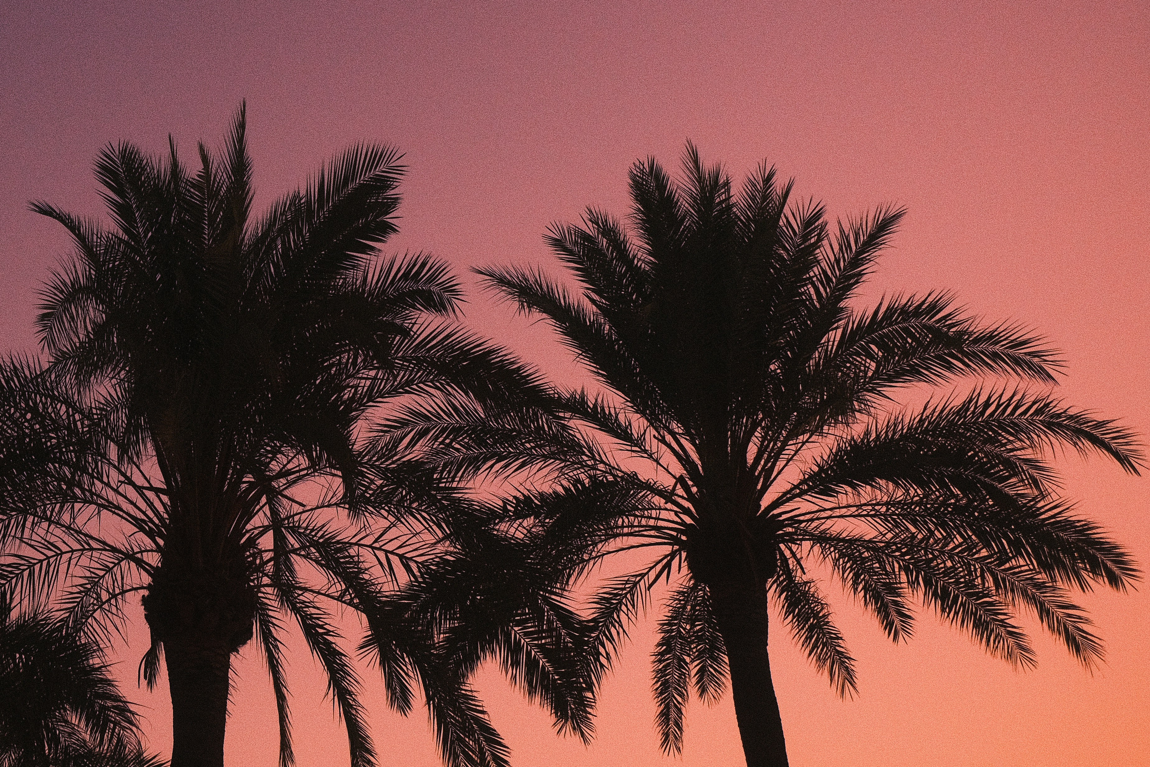 Photo by visualsbying