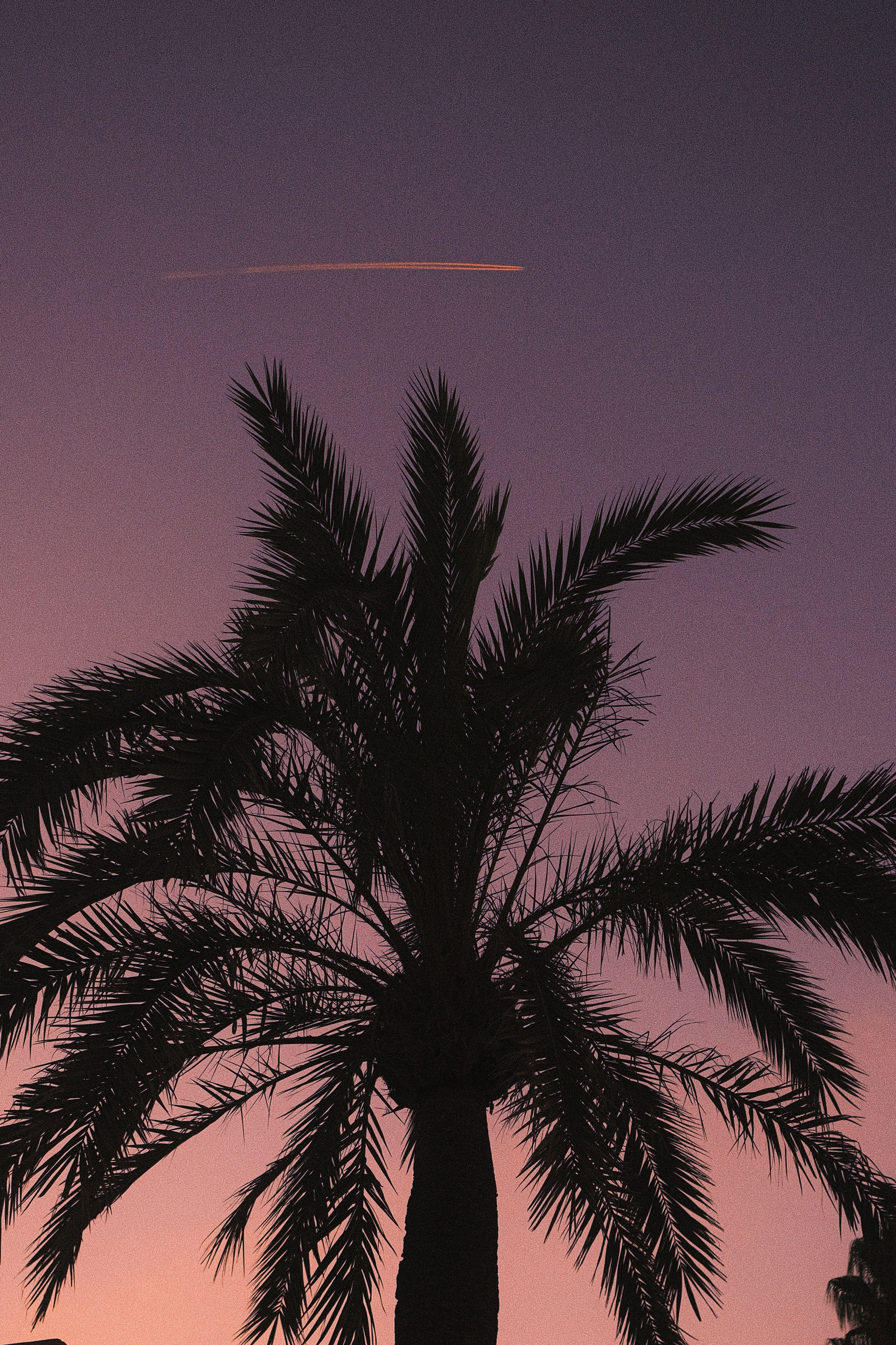 Photo by visualsbying