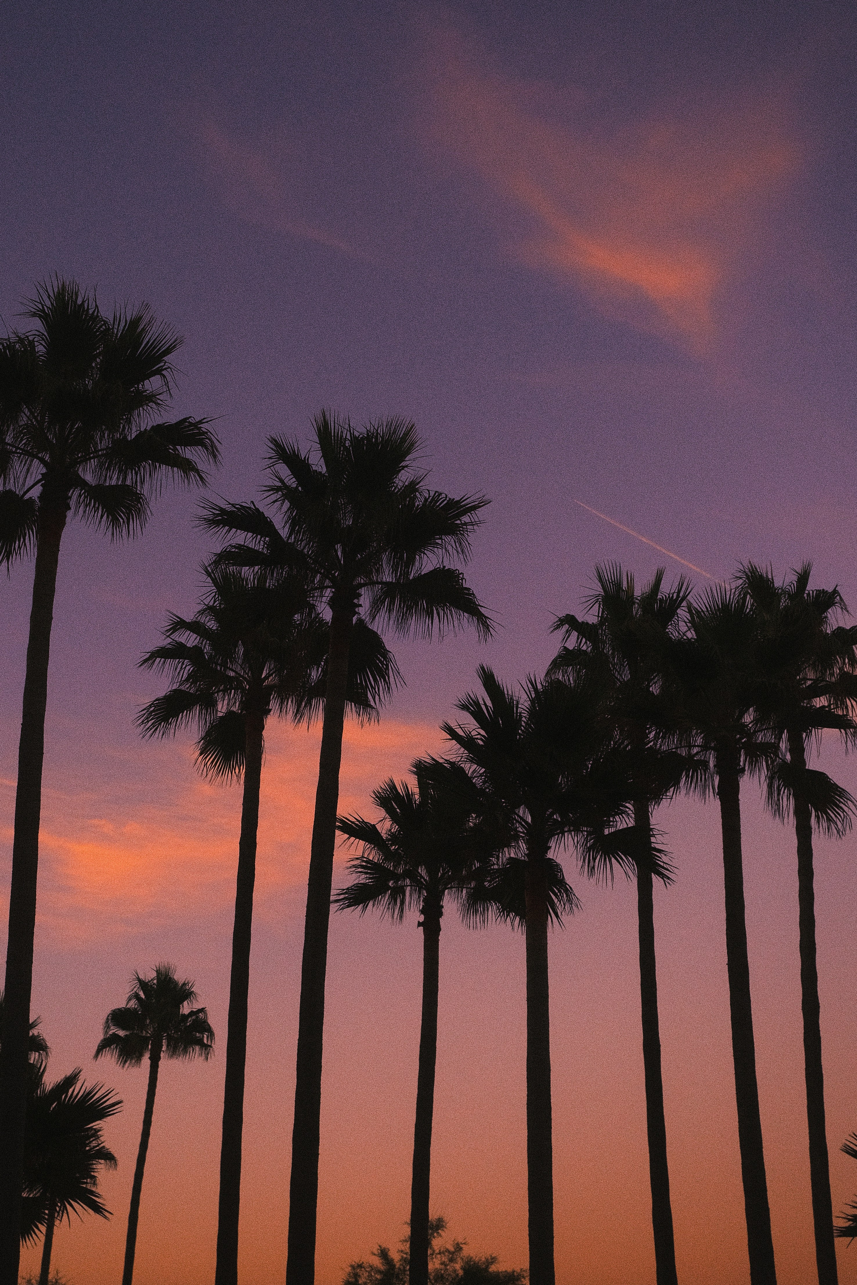 Photo by visualsbying