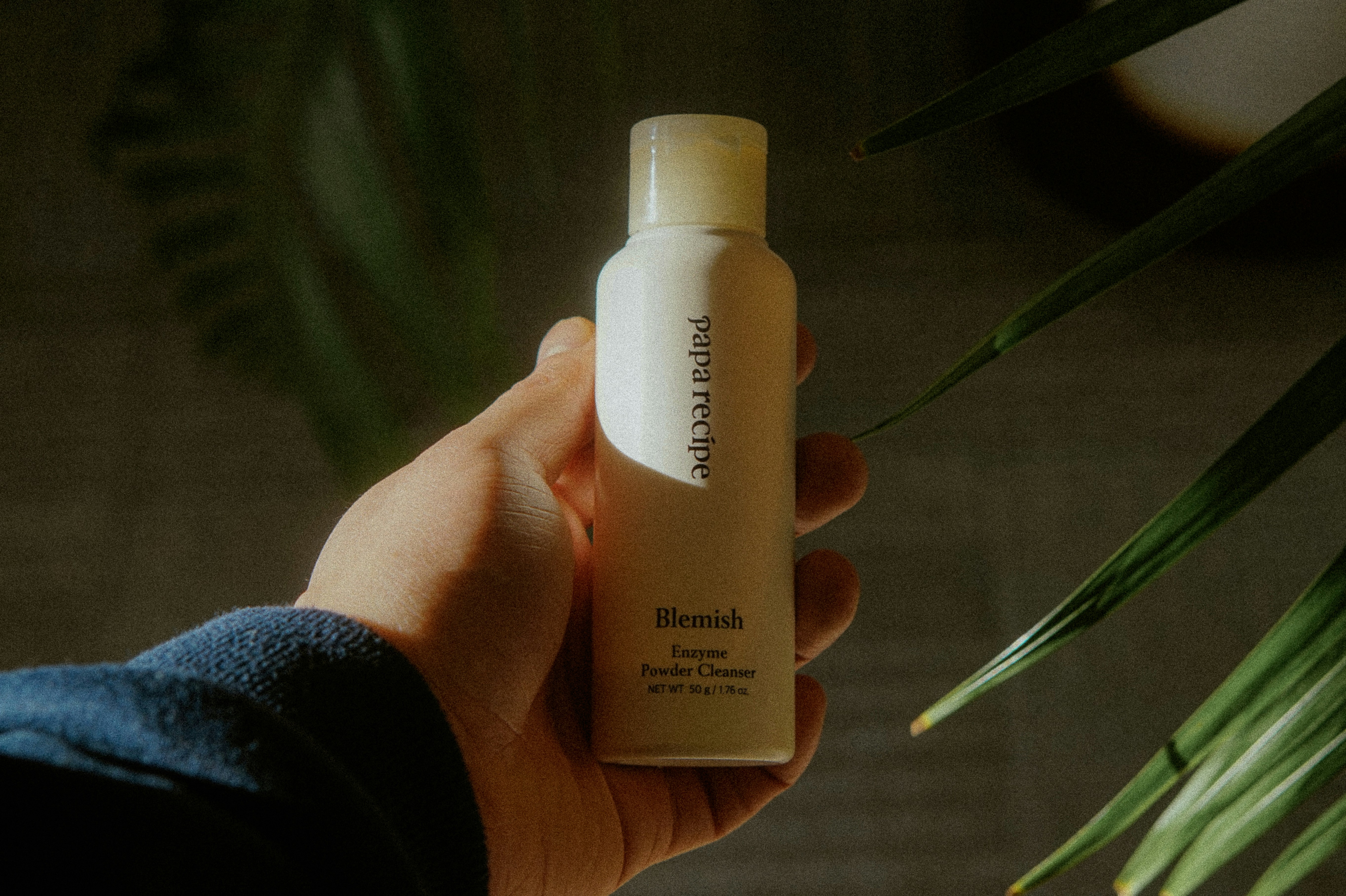 Photo by thingsneverchange