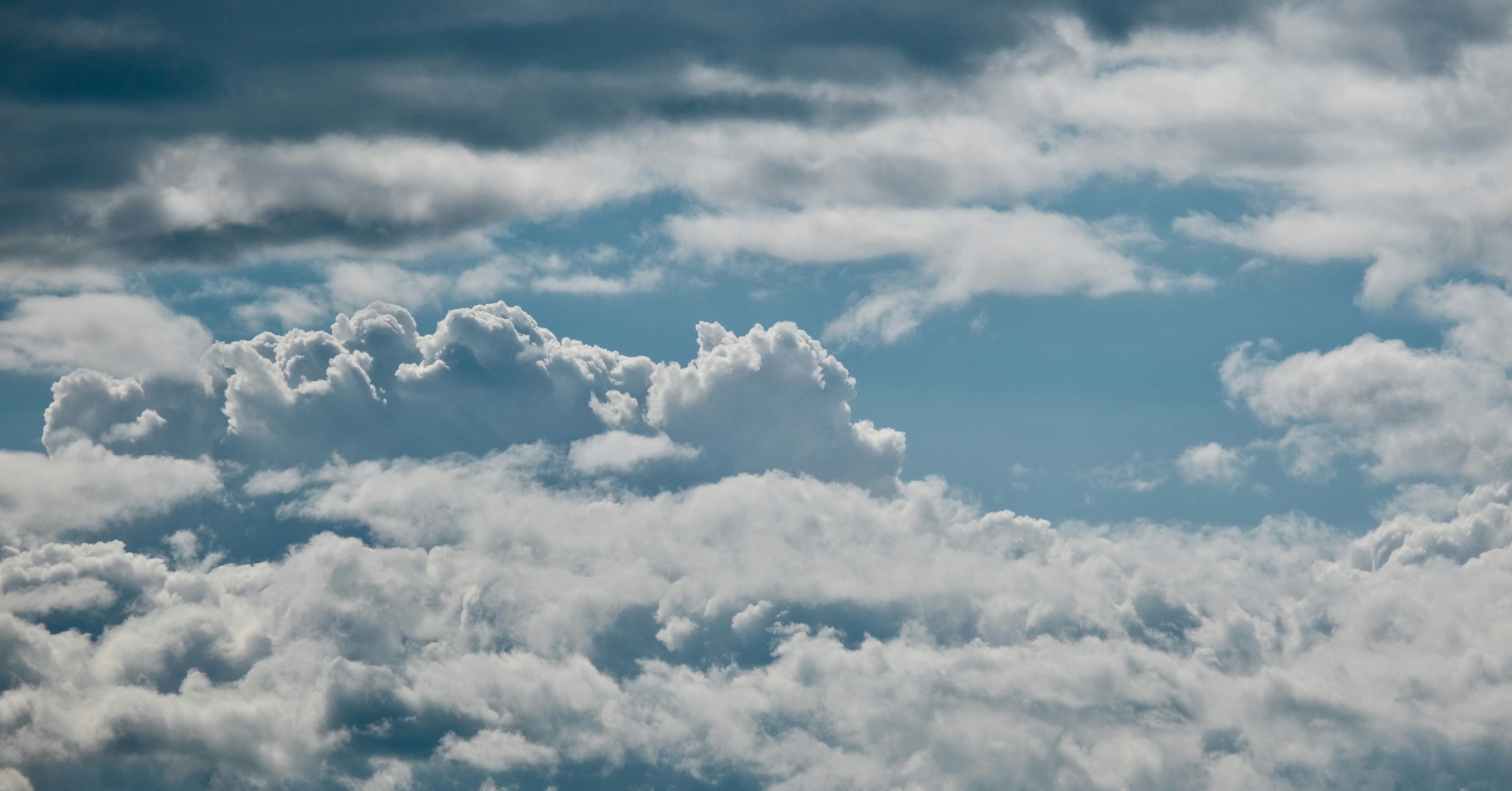 Photo by sinjintsang