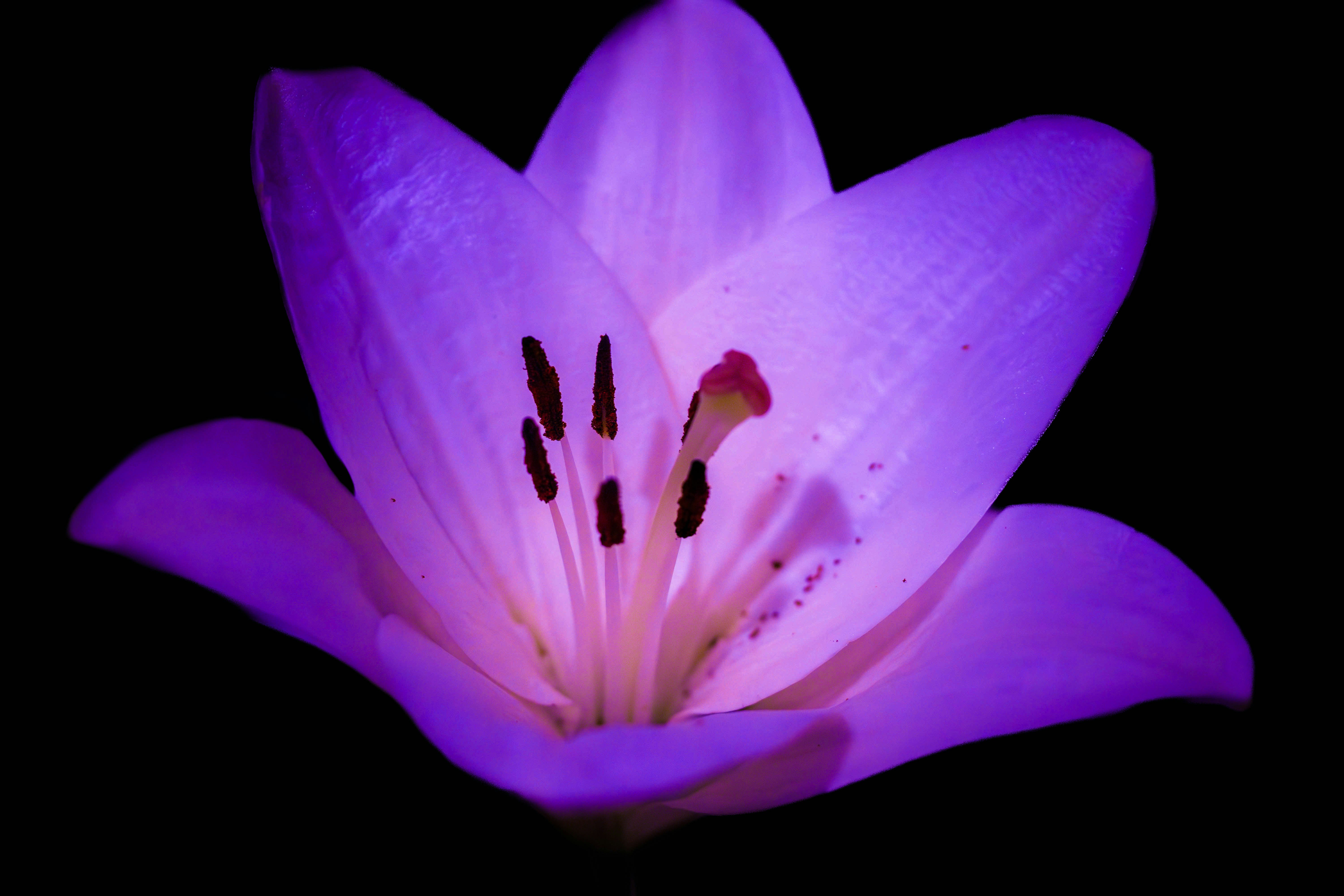 Photo by ileannareeves