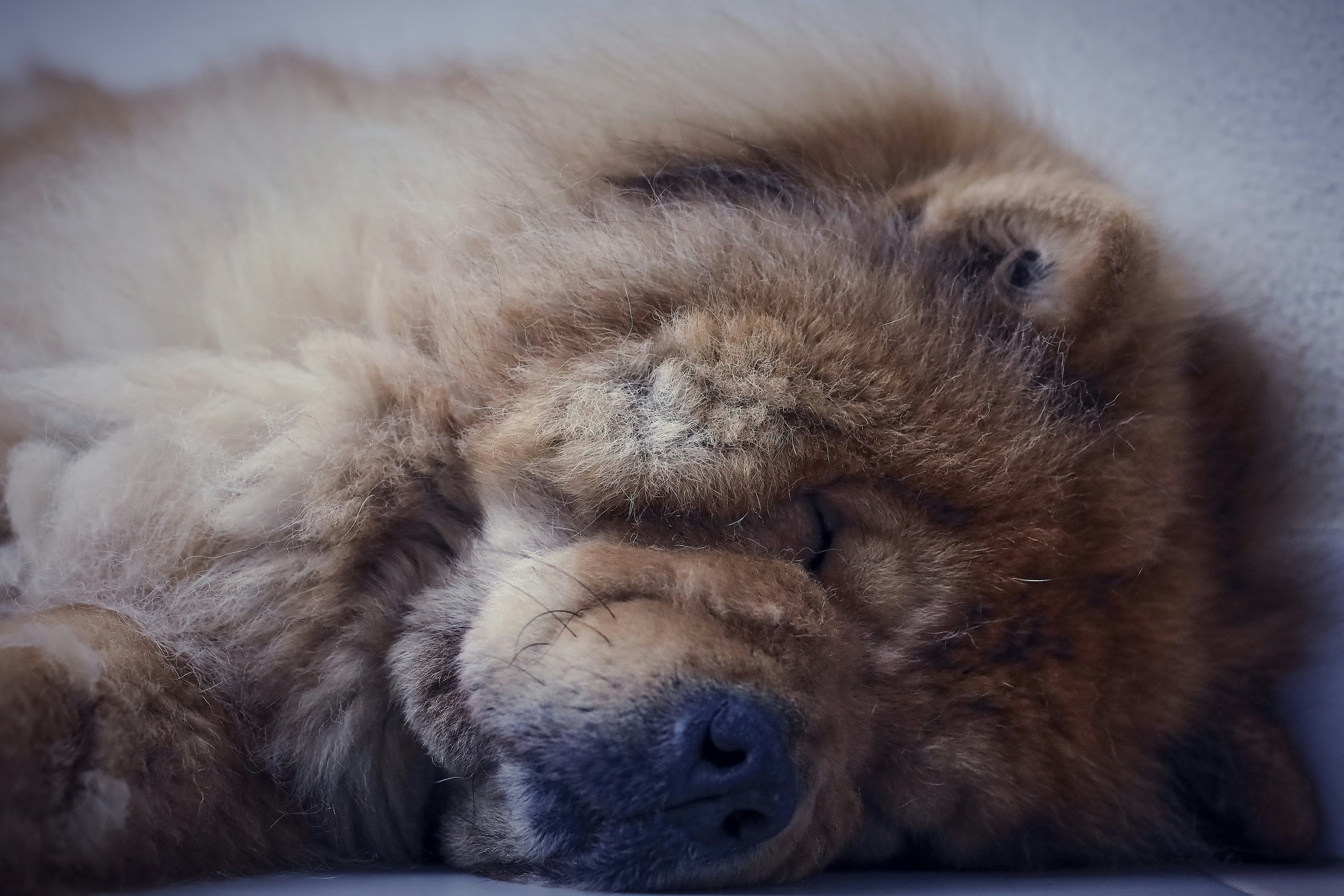 Photo by armandofera